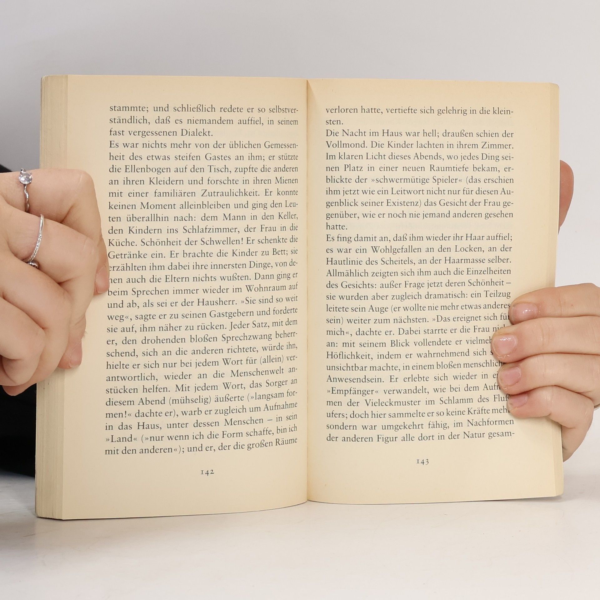 Peter Handke Langsame Heimkehr