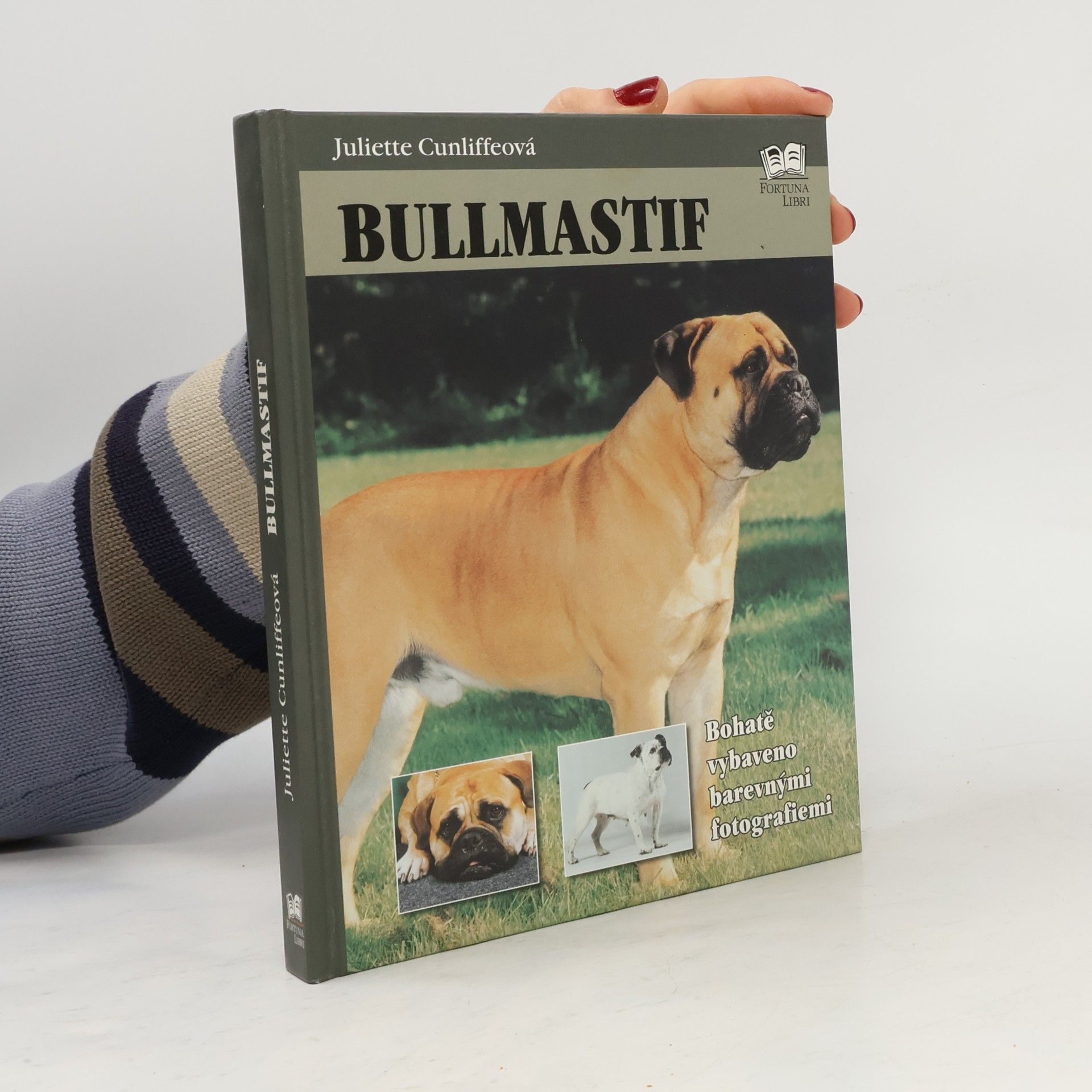 Bullmastif
