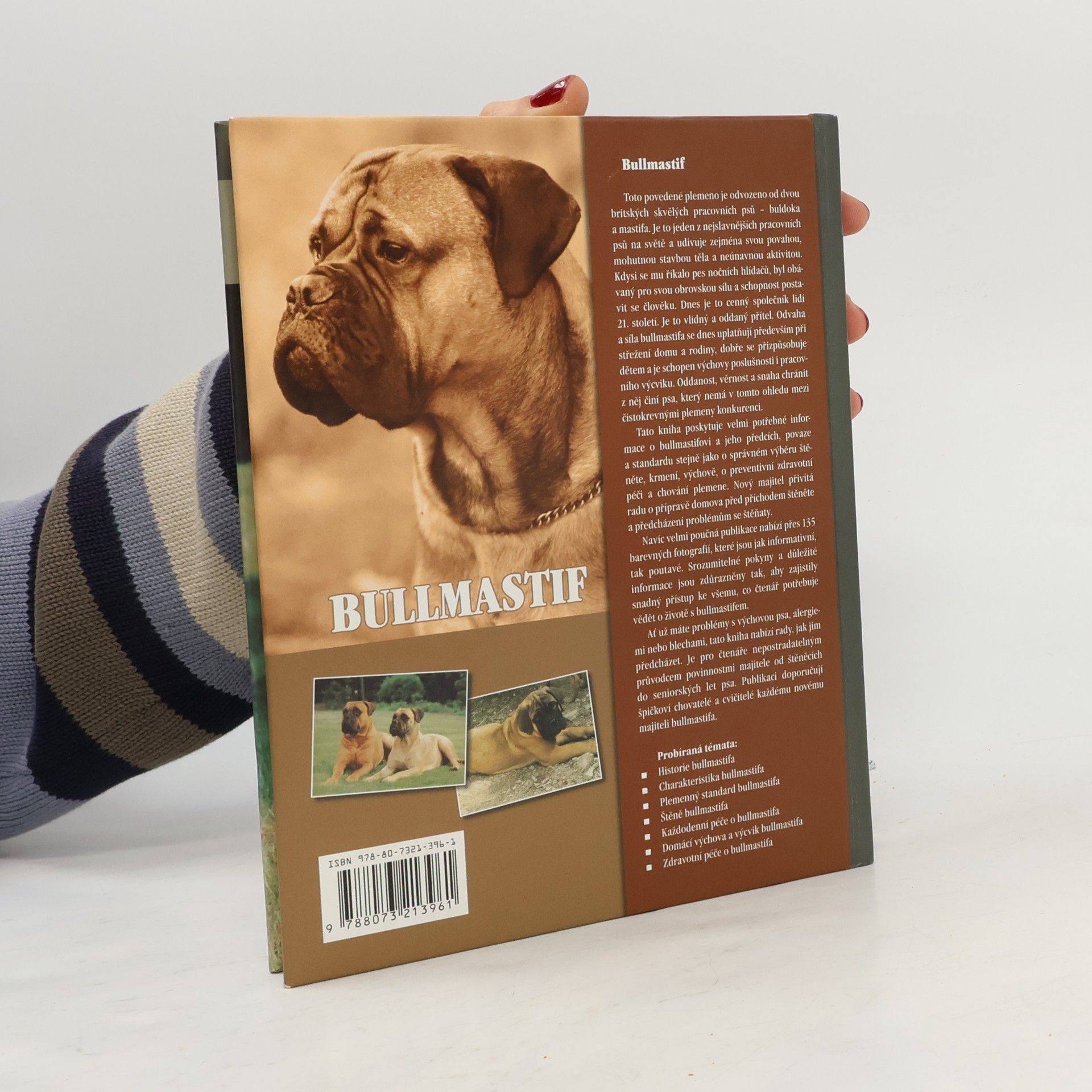 Juliette Cunliffe Bullmastif