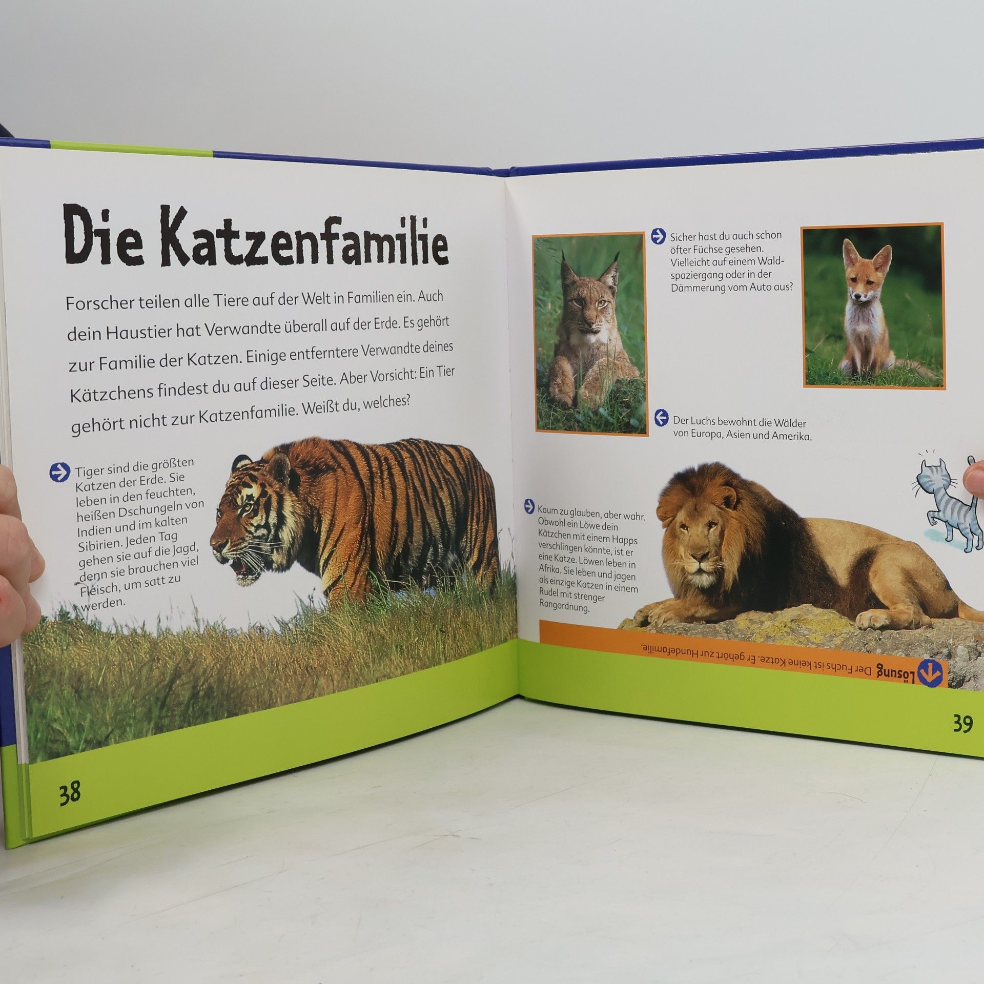 Wolfgang Hensel Deine Katze