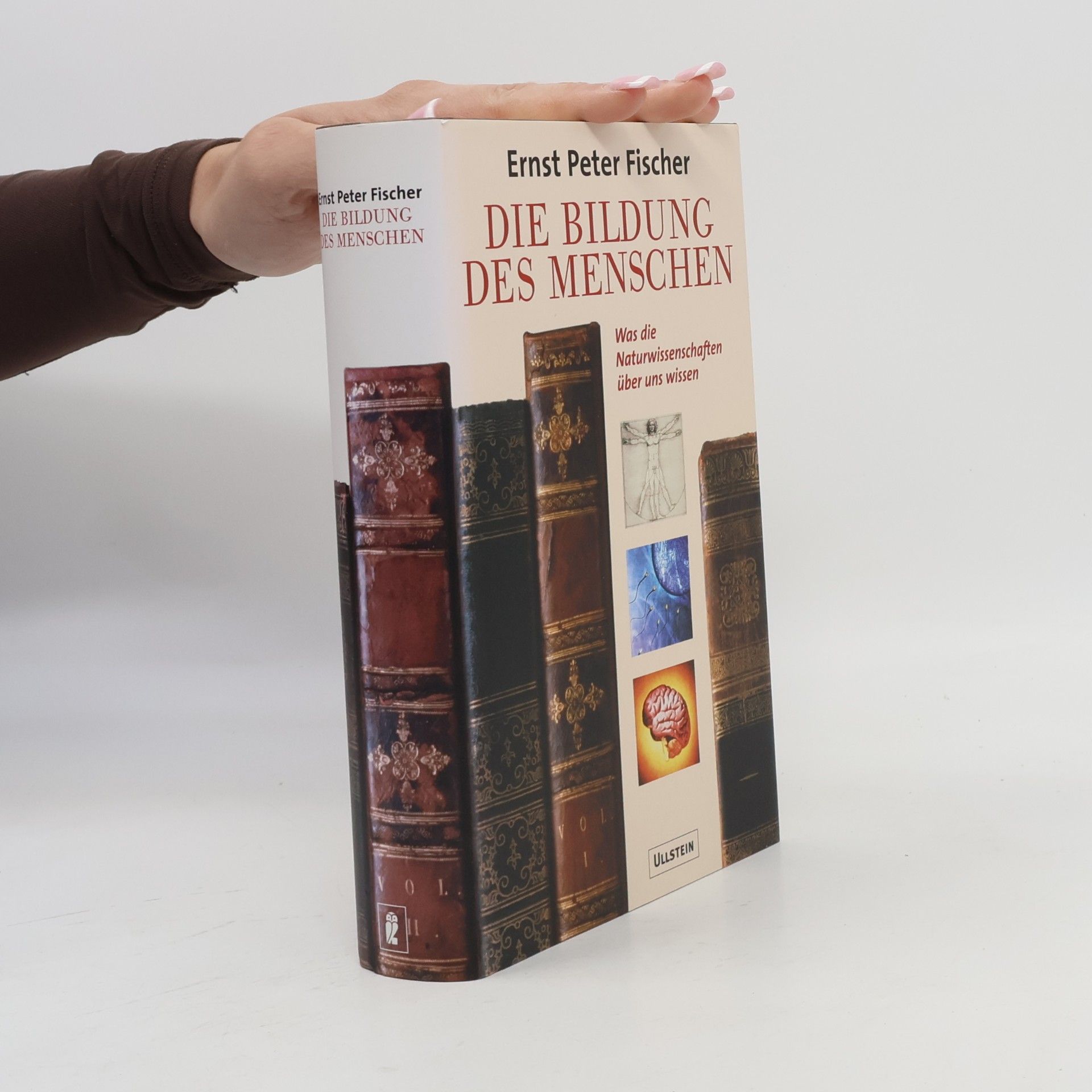 Die Bildung des Menschen