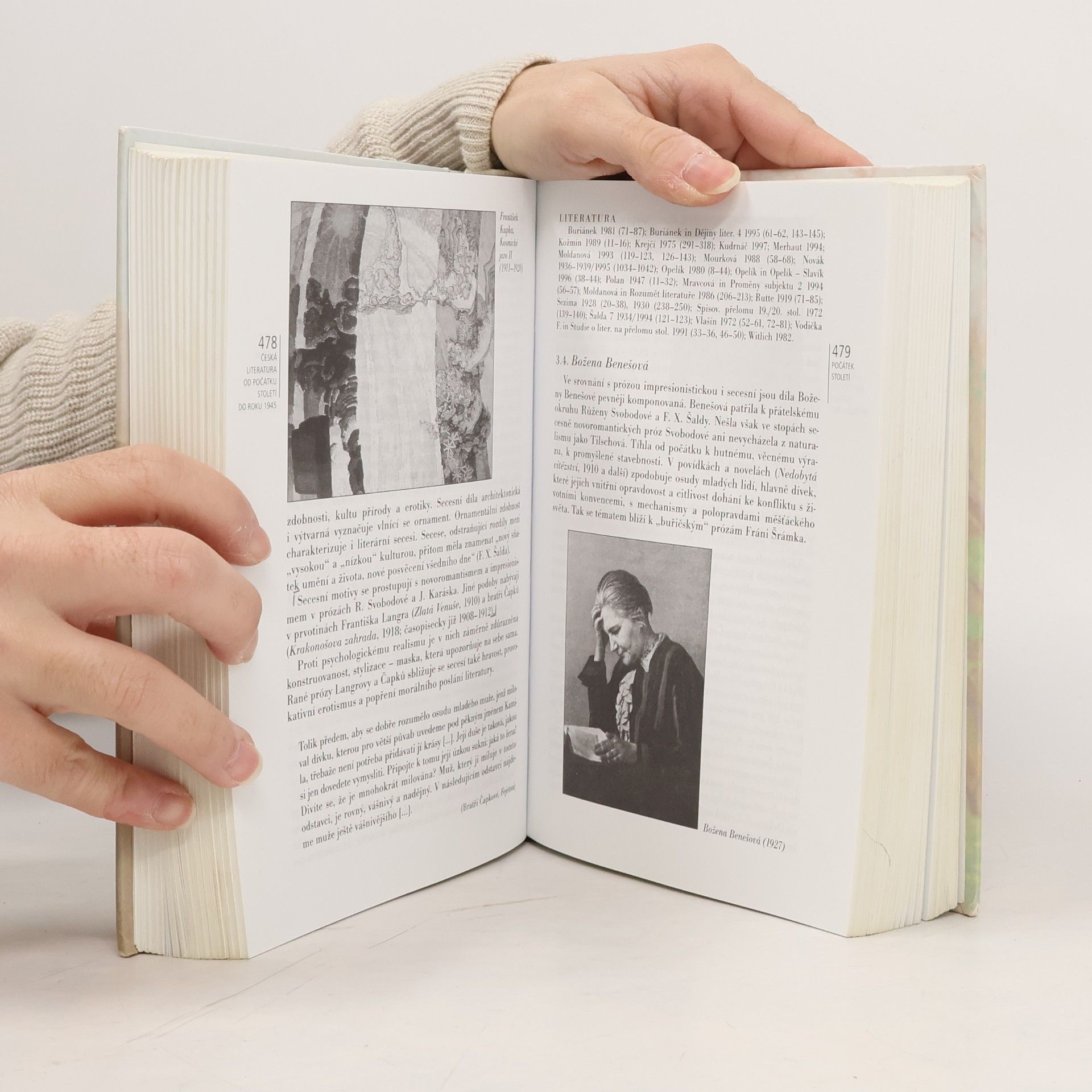Jiří Holý Česká literatura od počátků k dnešku