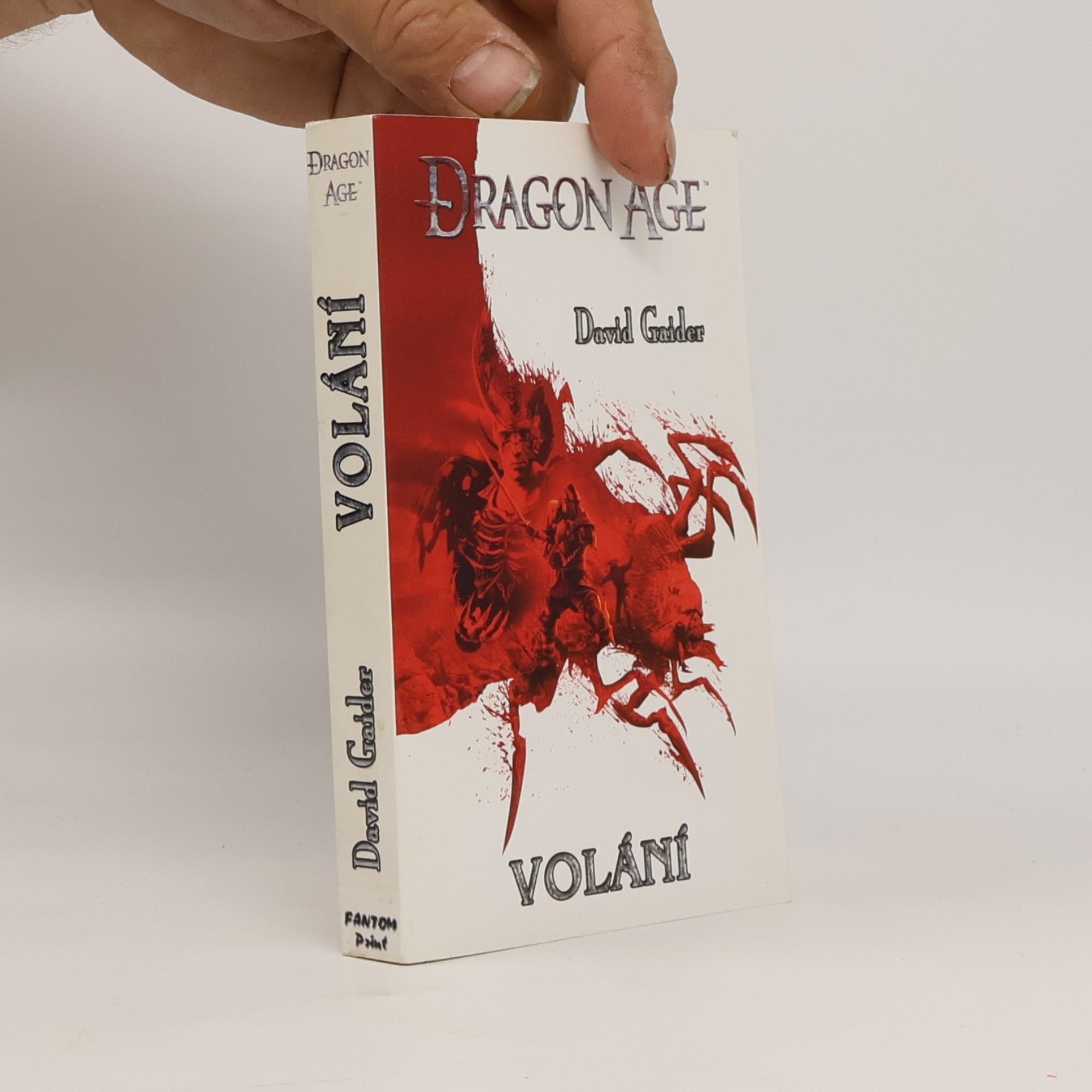 Dragon age. Volání