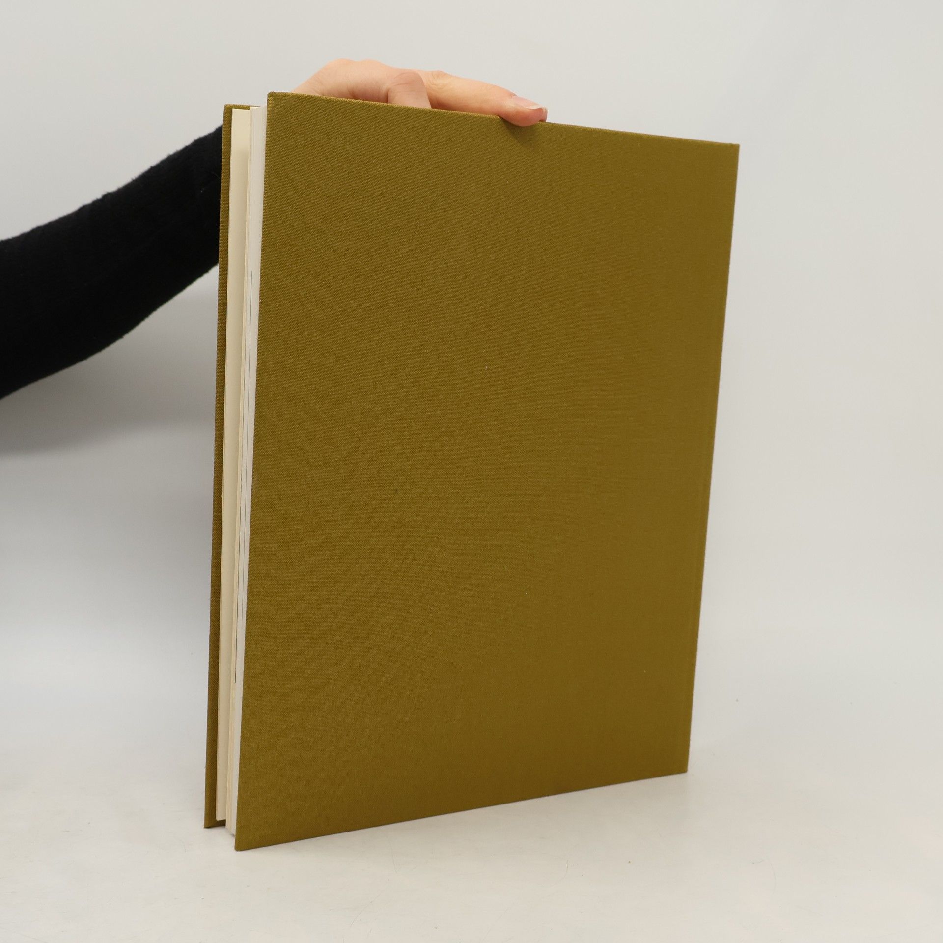 Manfred Bachmann Dresdener Gemäldegalerie