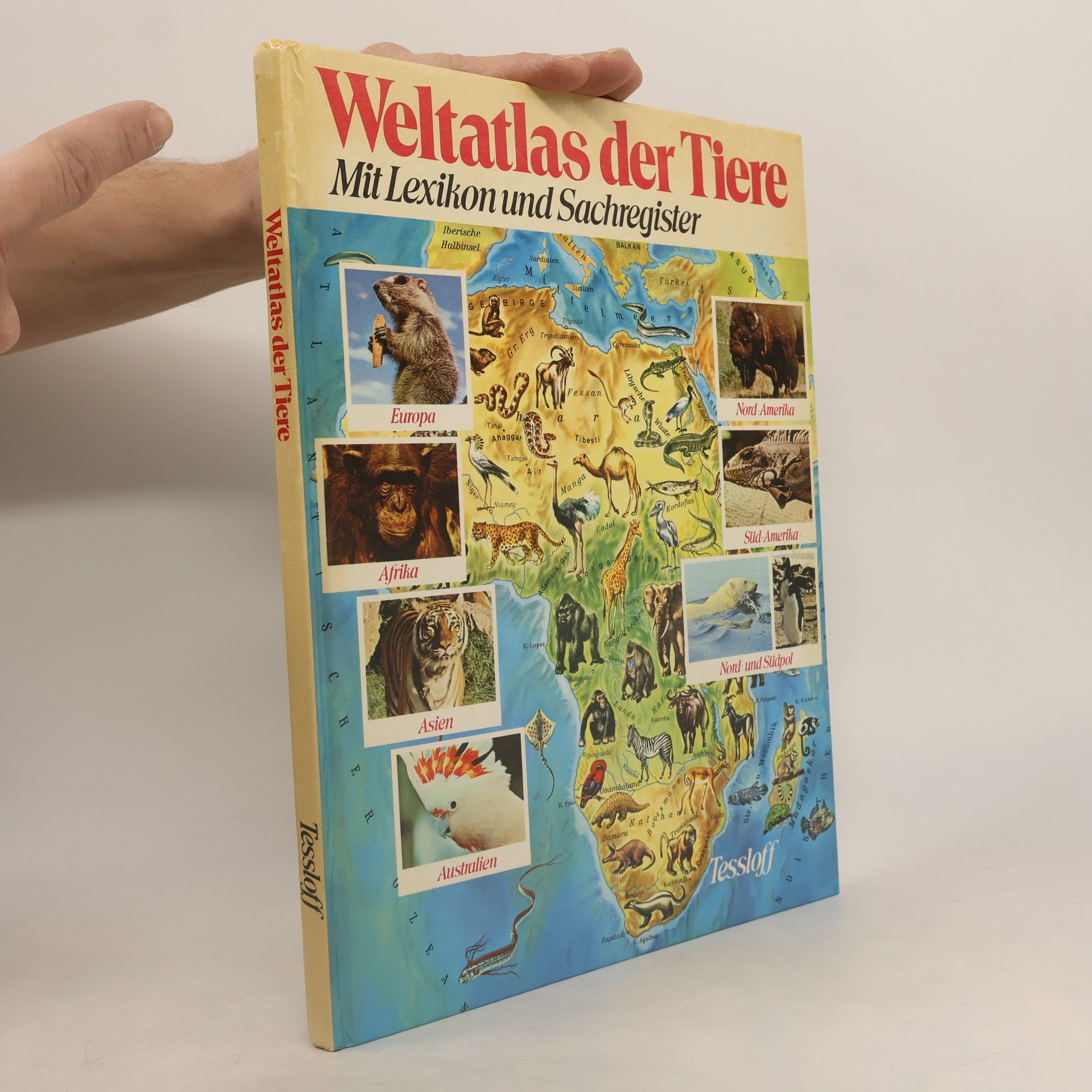 Gina Barnabe Bosisio Weltatlas der Tiere