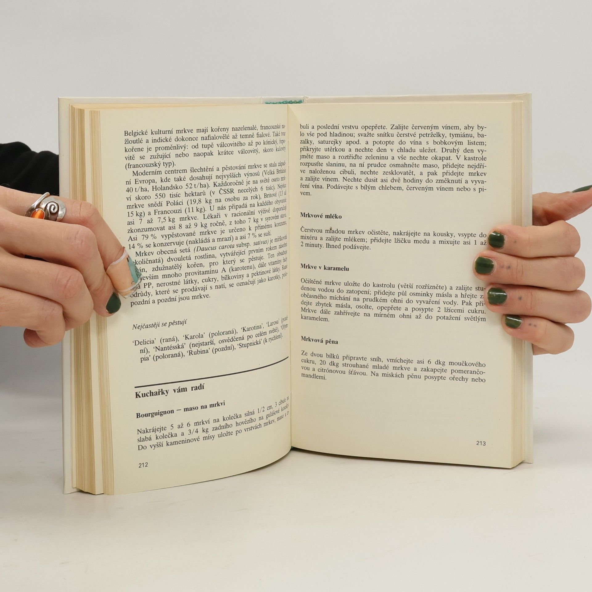 Various authors Zelená kuchyně