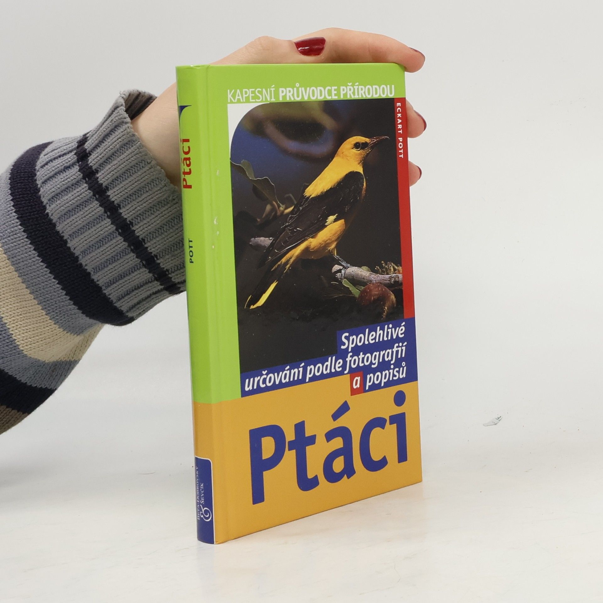 Ptáci: Spolehlivé určování podle fotografií a popisů