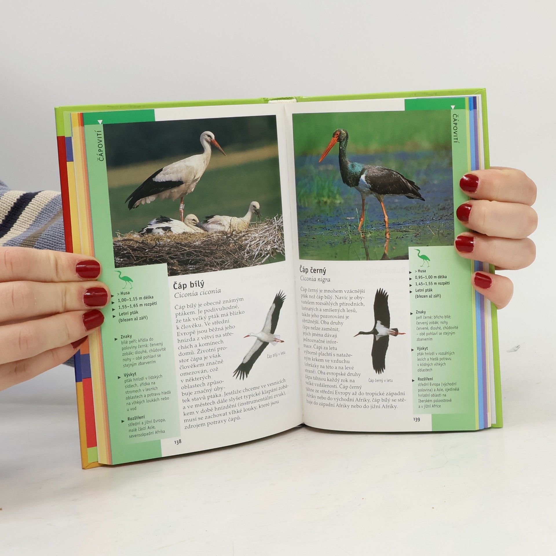 Eckart Pott Ptáci: Spolehlivé určování podle fotografií a popisů