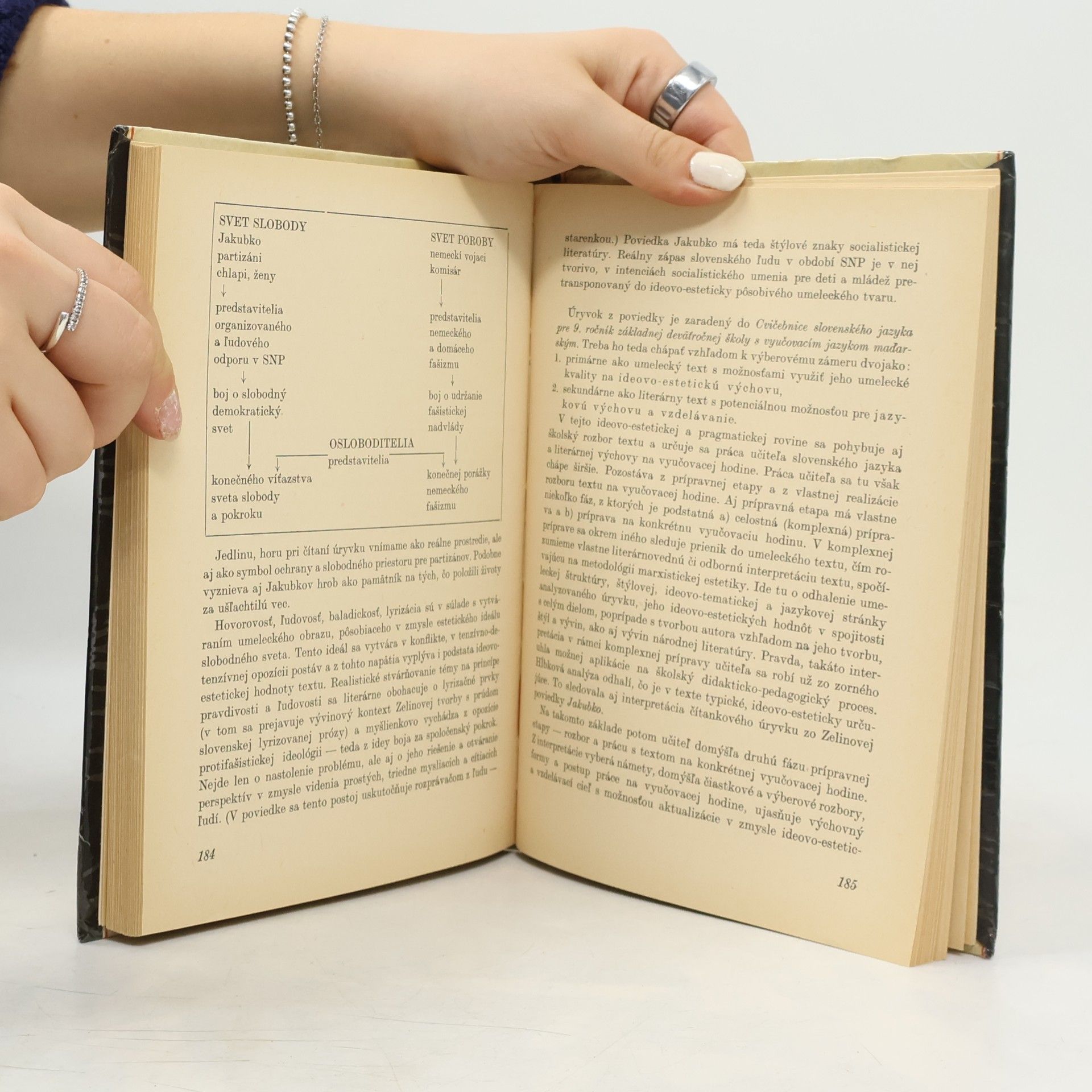 kolektiv Irodalmi szöveg-elemzések / Rozbory literárnych textov