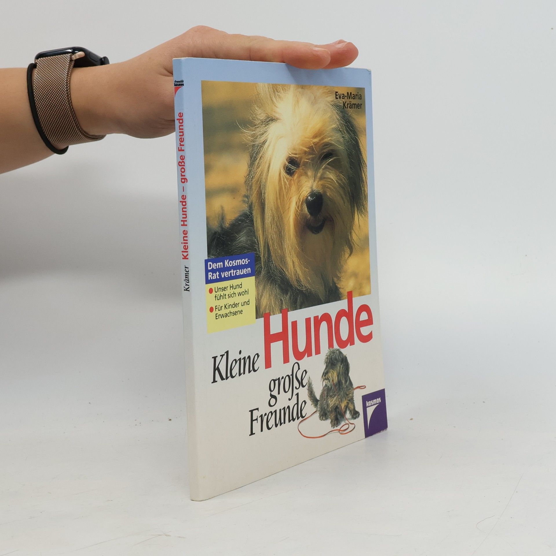 Kleine Hunde - grosse Freunde