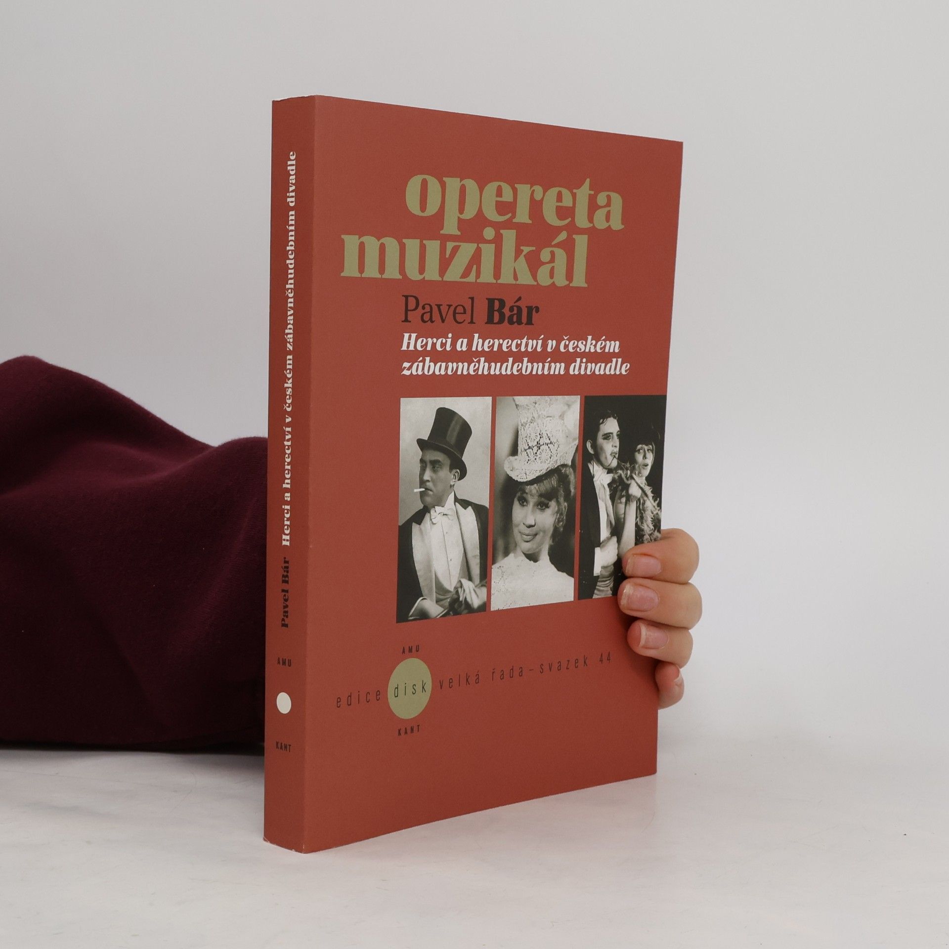 Herci a herectví v českém zábavněhudebním divadle