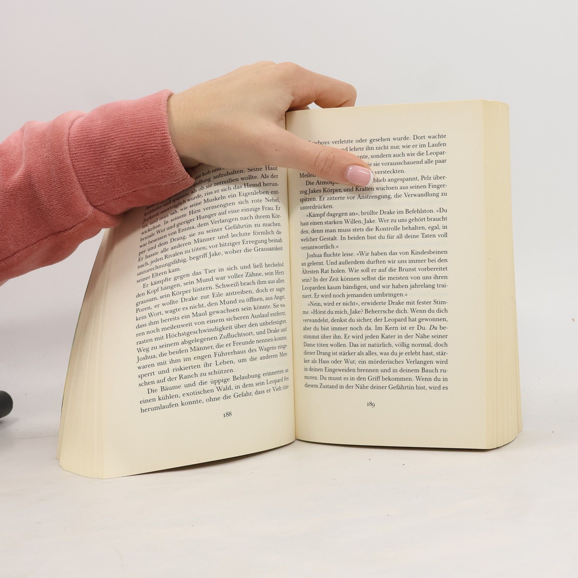 Christine Feehan Magisches Feuer