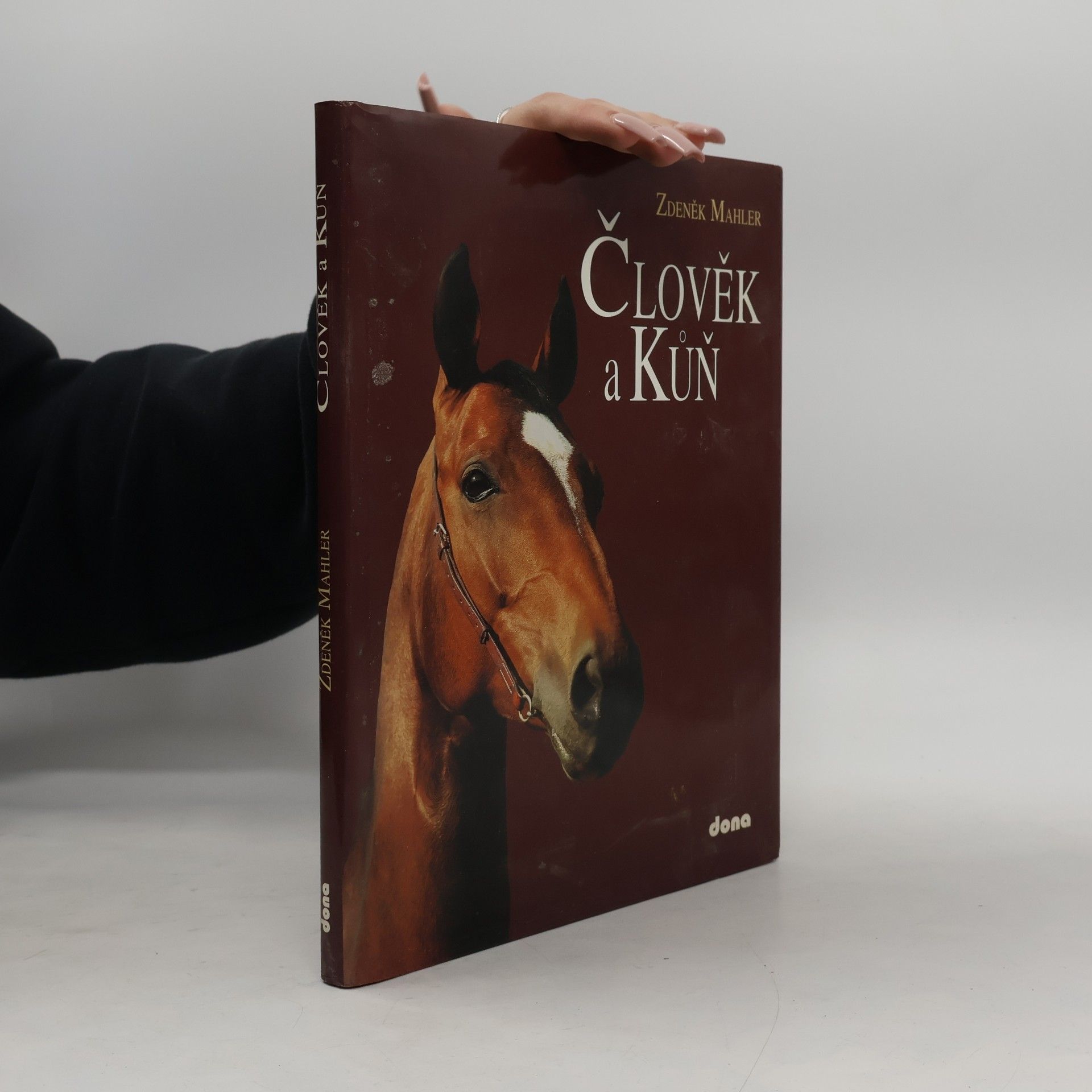 Člověk a kůň