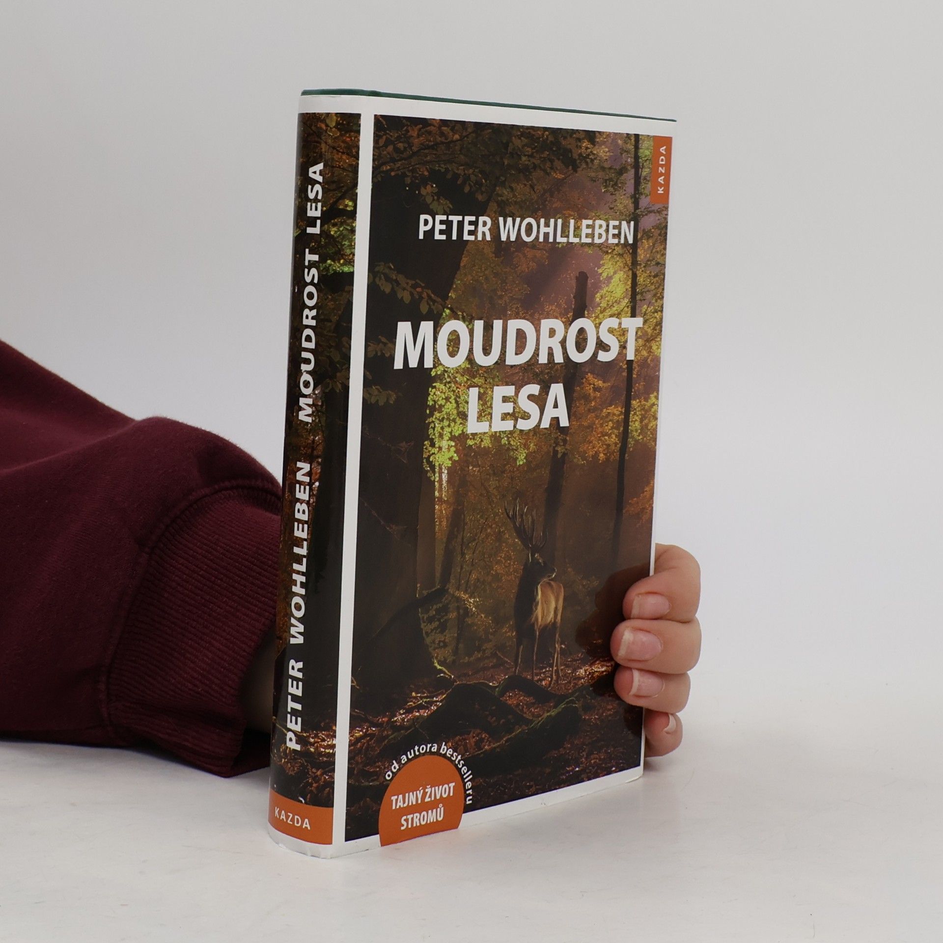 Magdalena Havlová Moudrost lesa