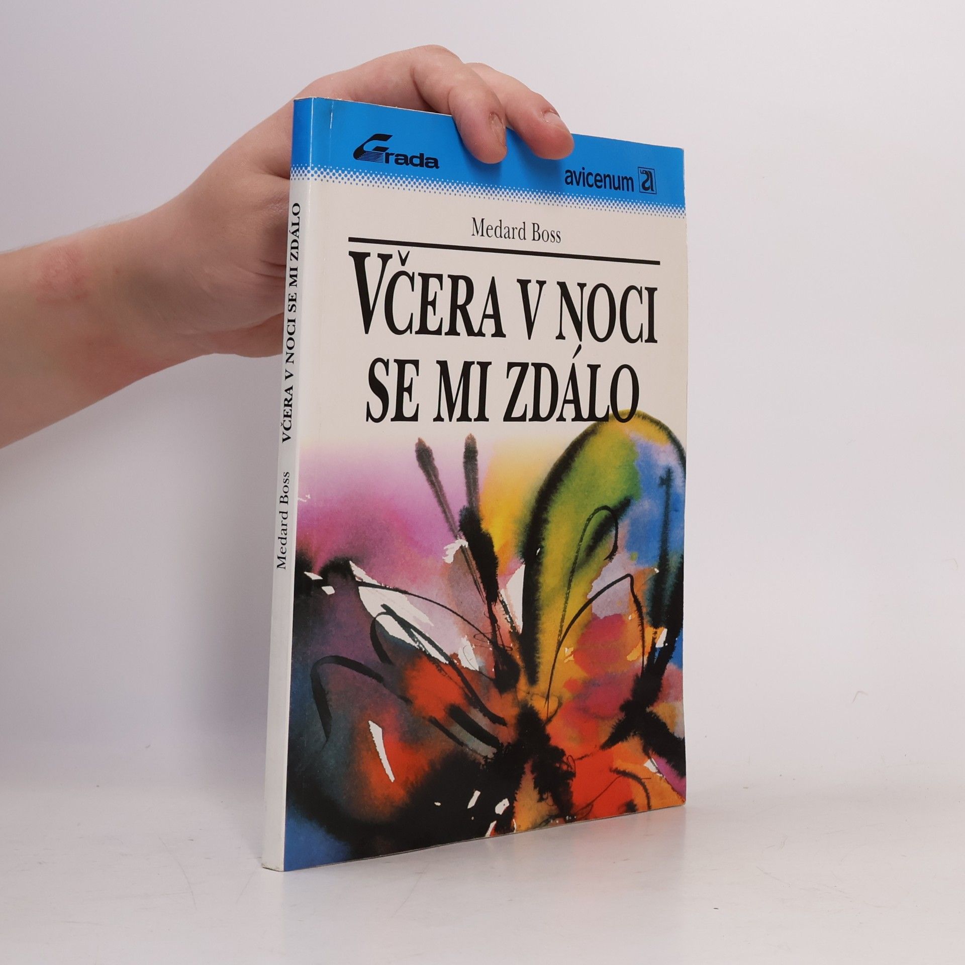 Včera v noci se mi zdálo