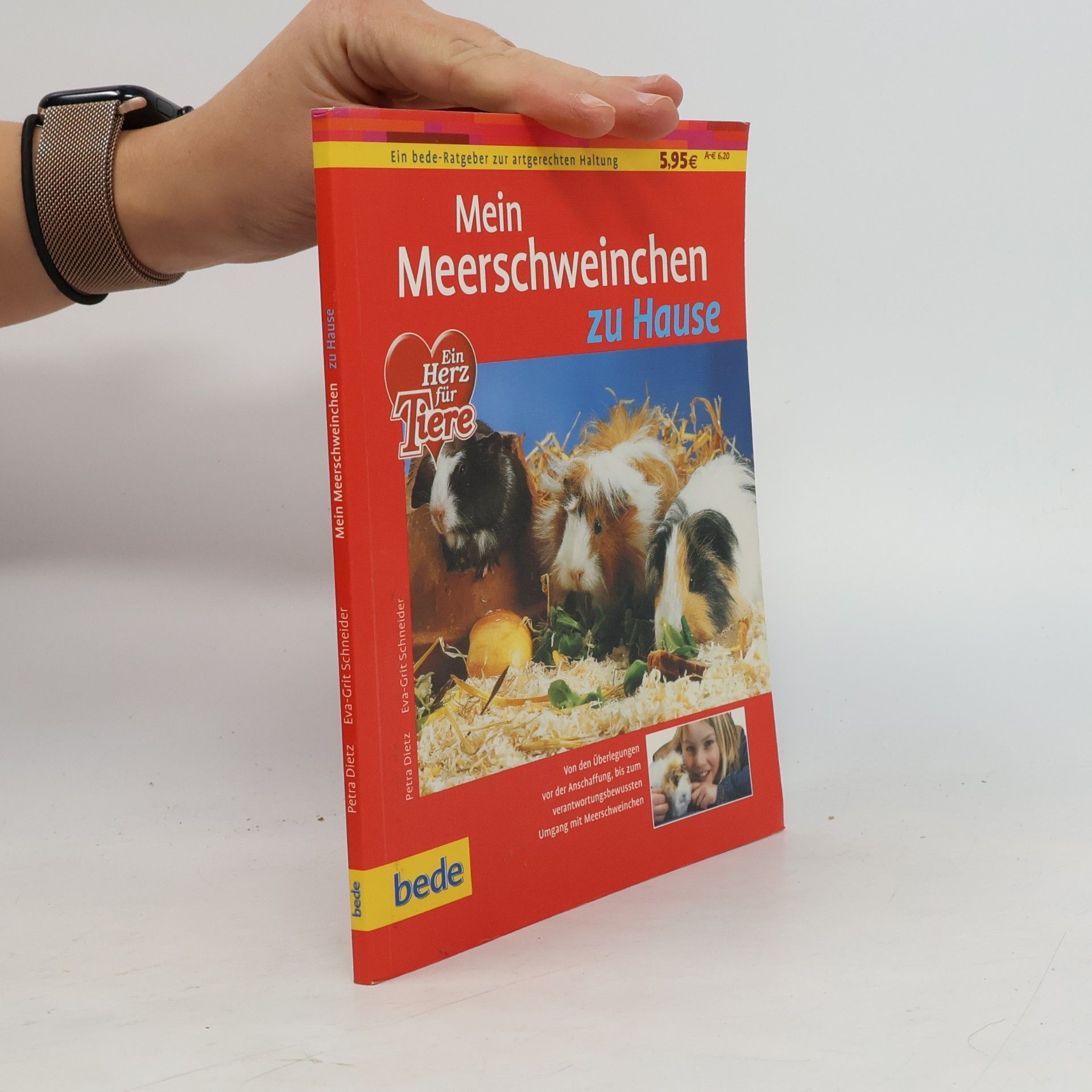 Mein Meerschweinchen zu Hause