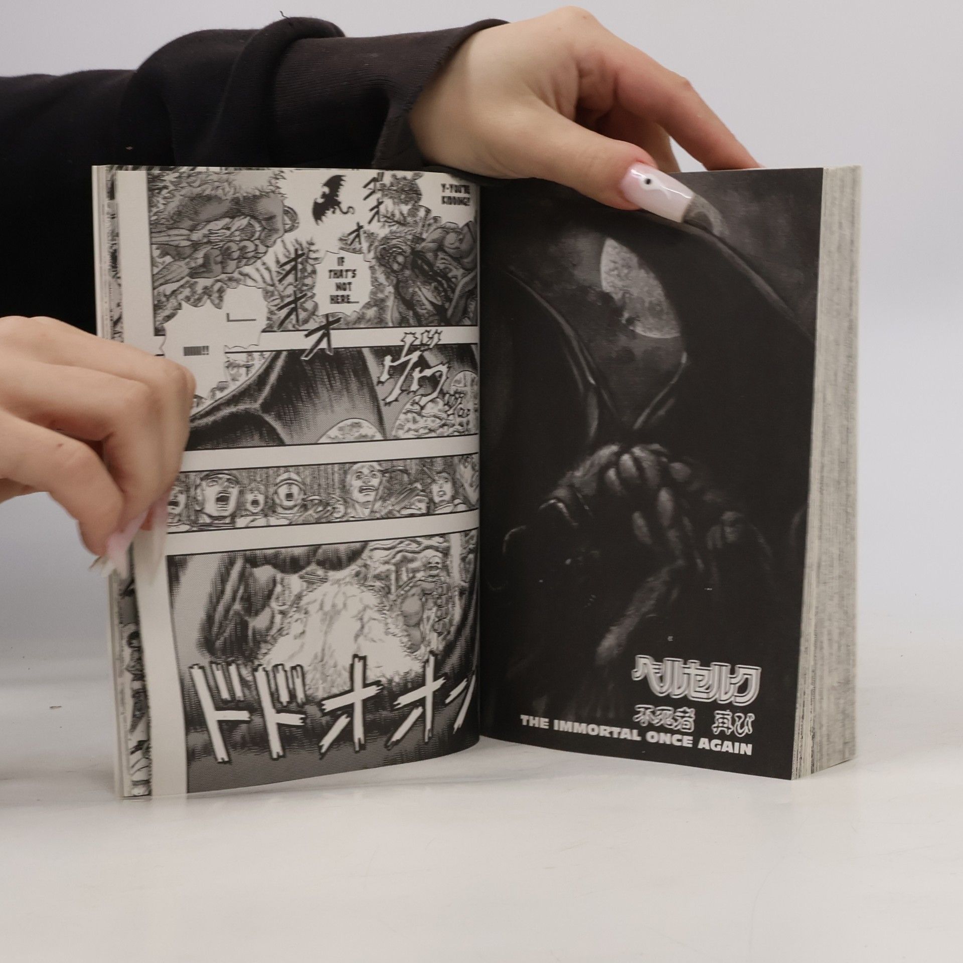 Kentaro Miura Berserk Volume 11