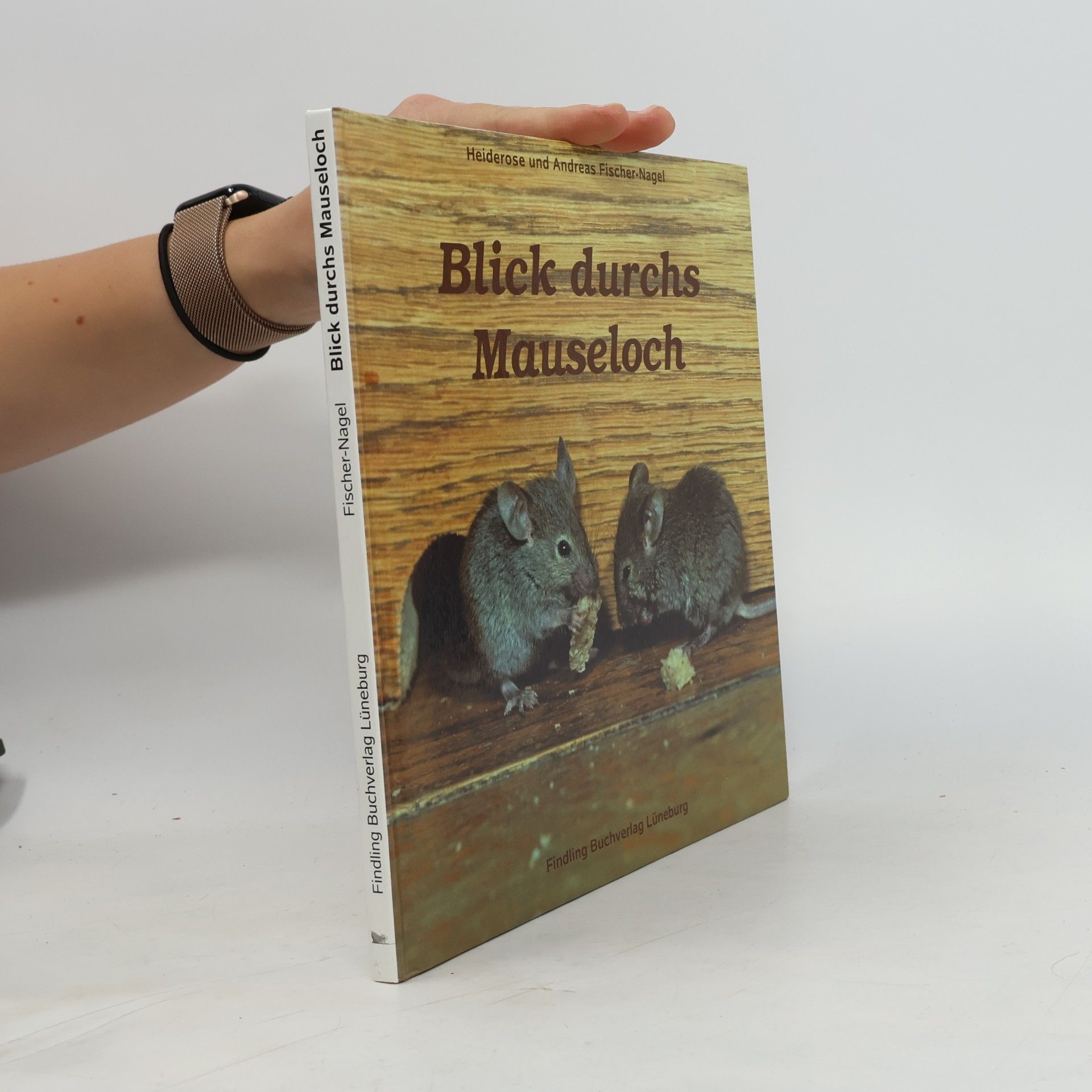 Blick durchs Mauseloch