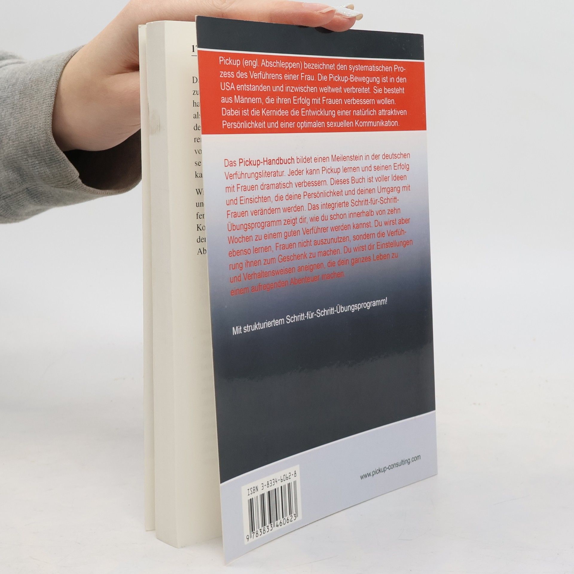 Arthur Franz Das Pickup-Handbuch