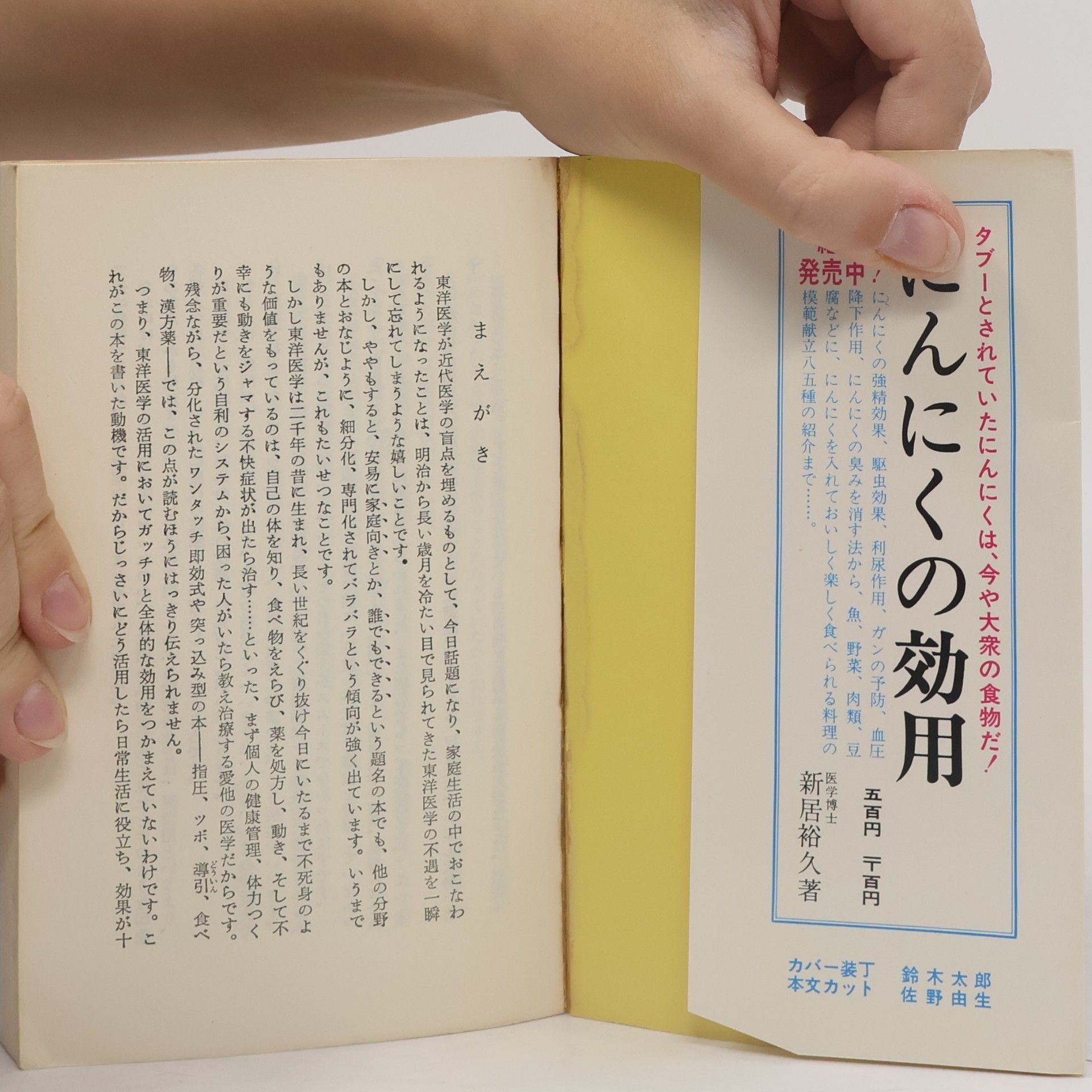 Muneiči Minauči 東洋医学の効用