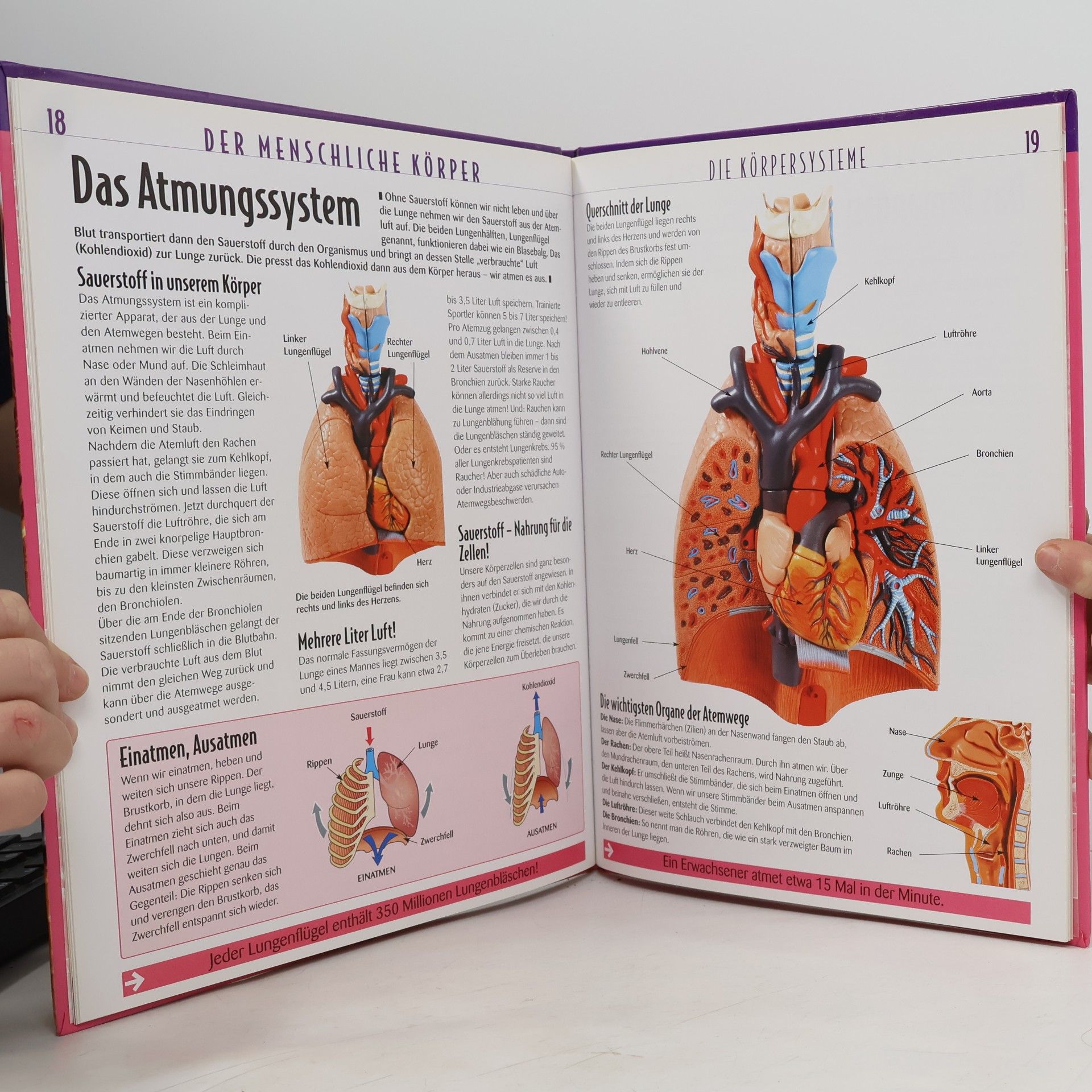 Kolektív autorov Der menschliche Körper