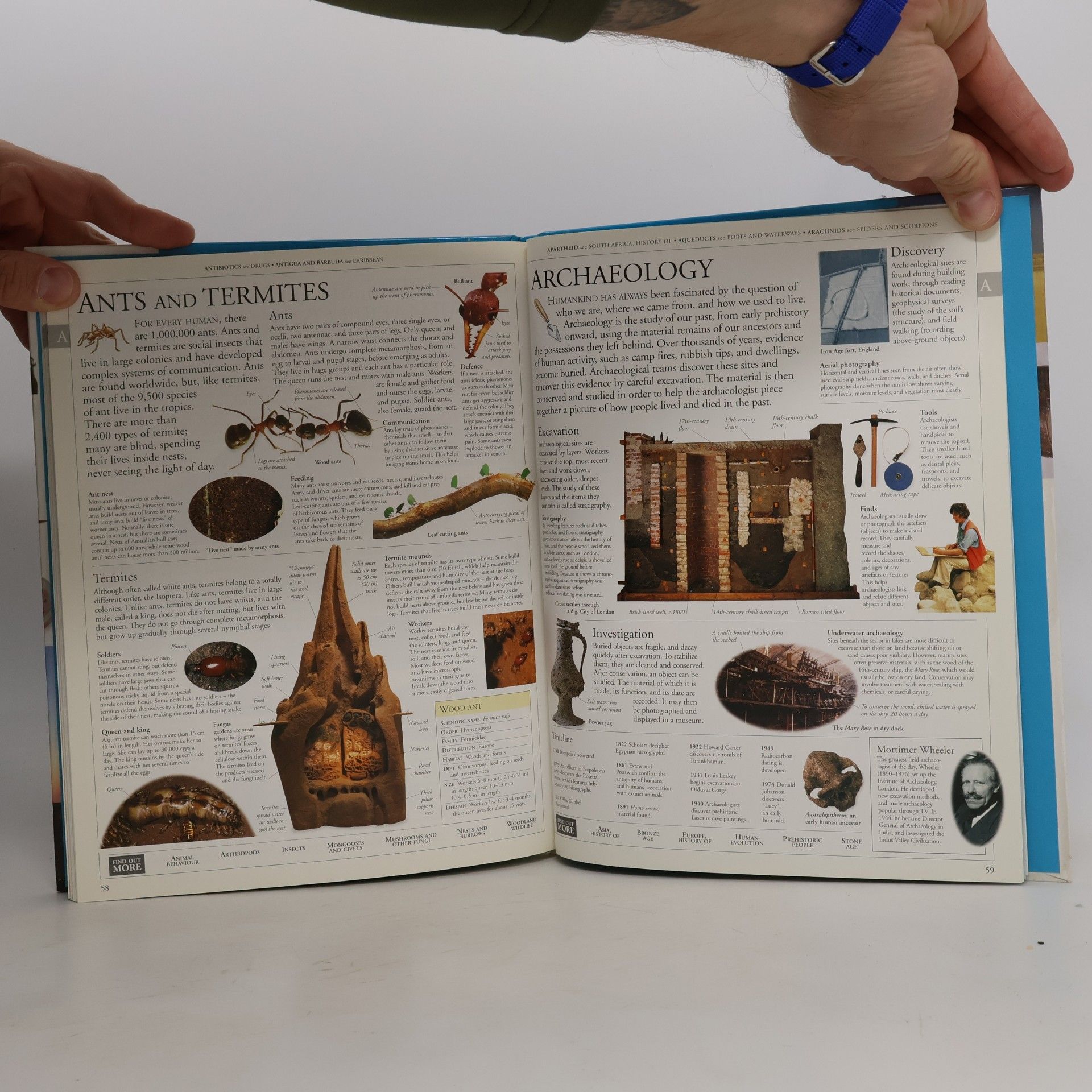kolektiv Illustrated Family Encyclopedia 1