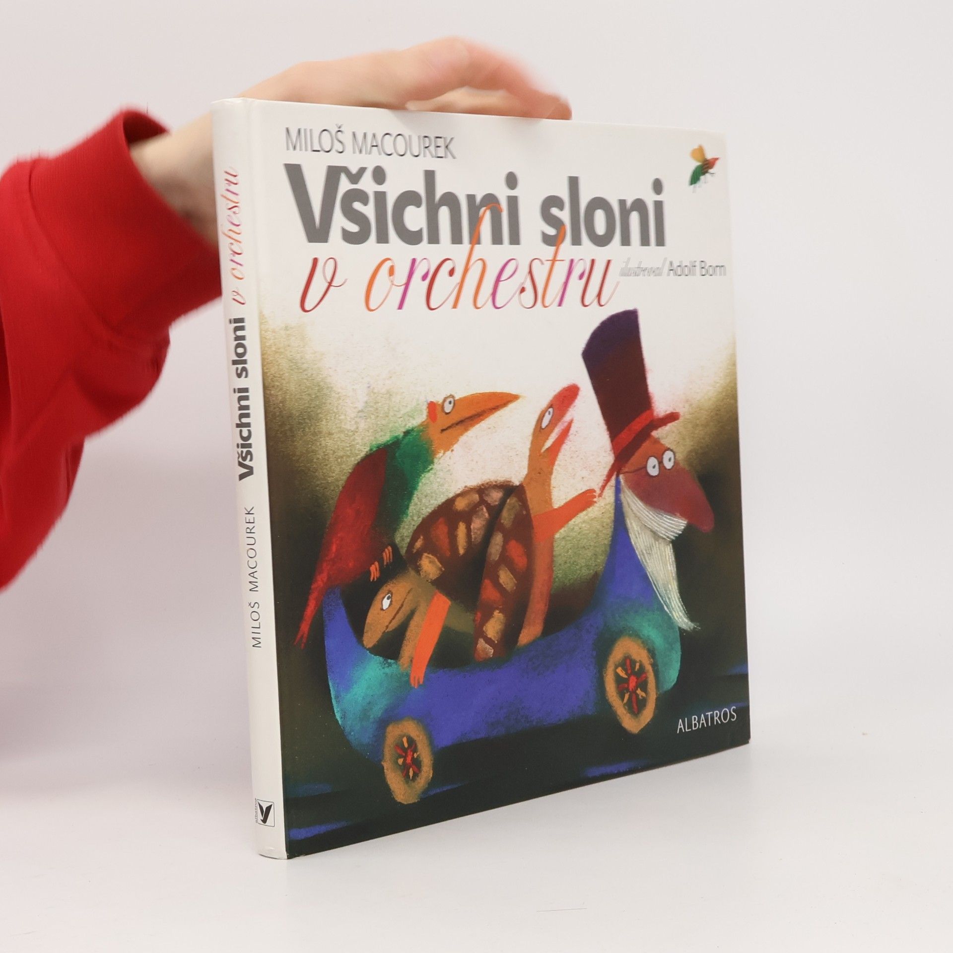 Všichni sloni v orchestru