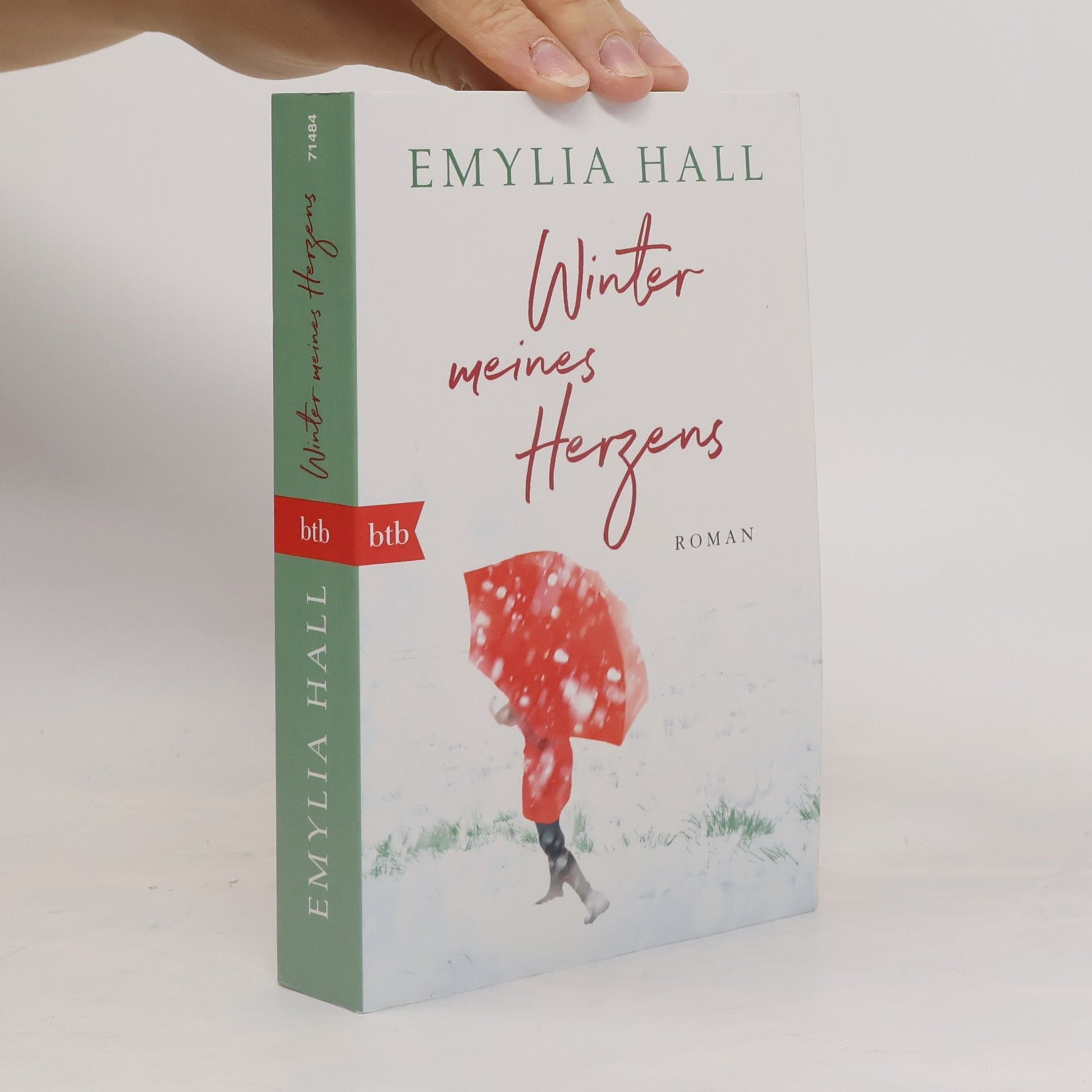 Emylia Hall Winter meines Herzens