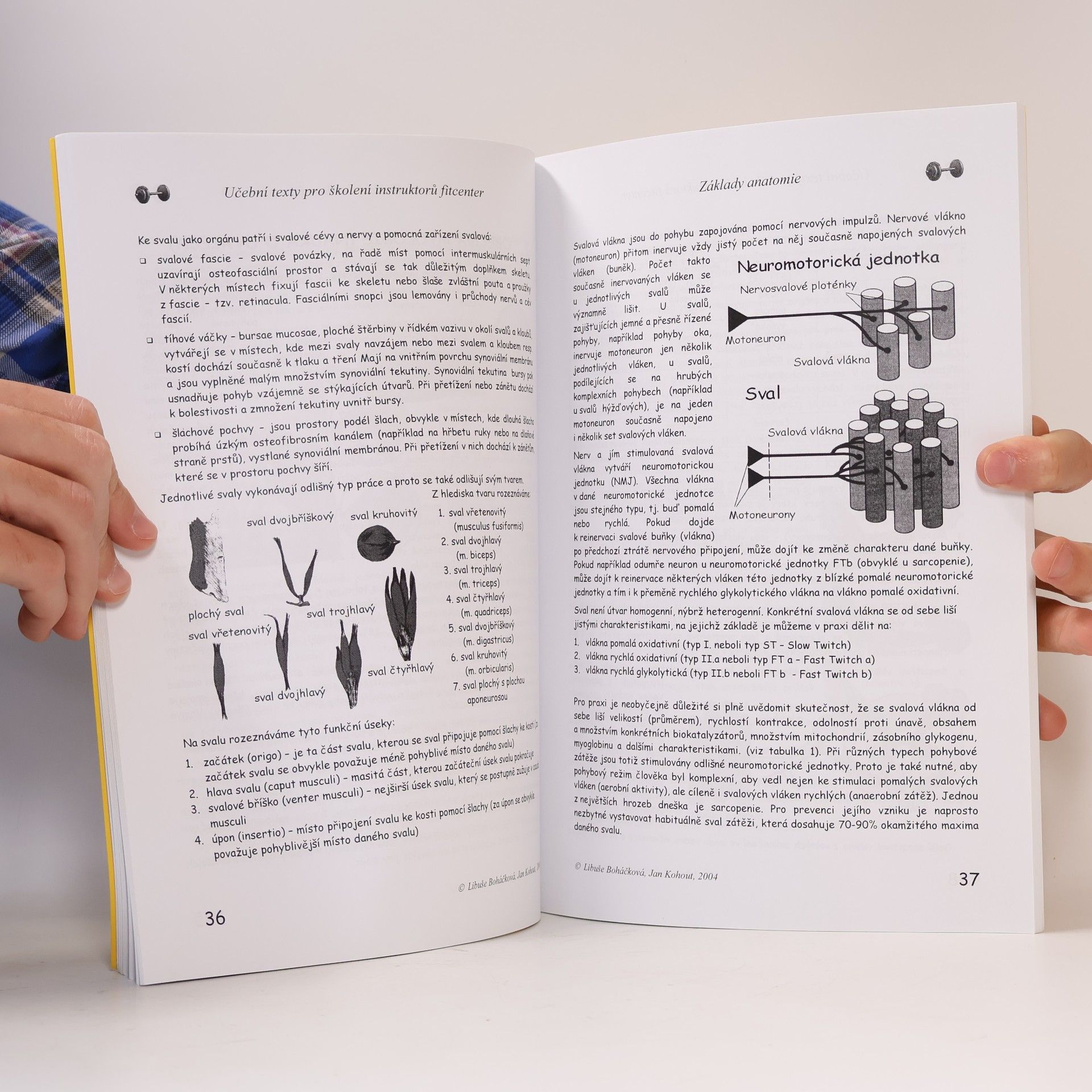 Libuše Boháčková Základy anatomie : učební texty pro školení instruktorů fitcenter