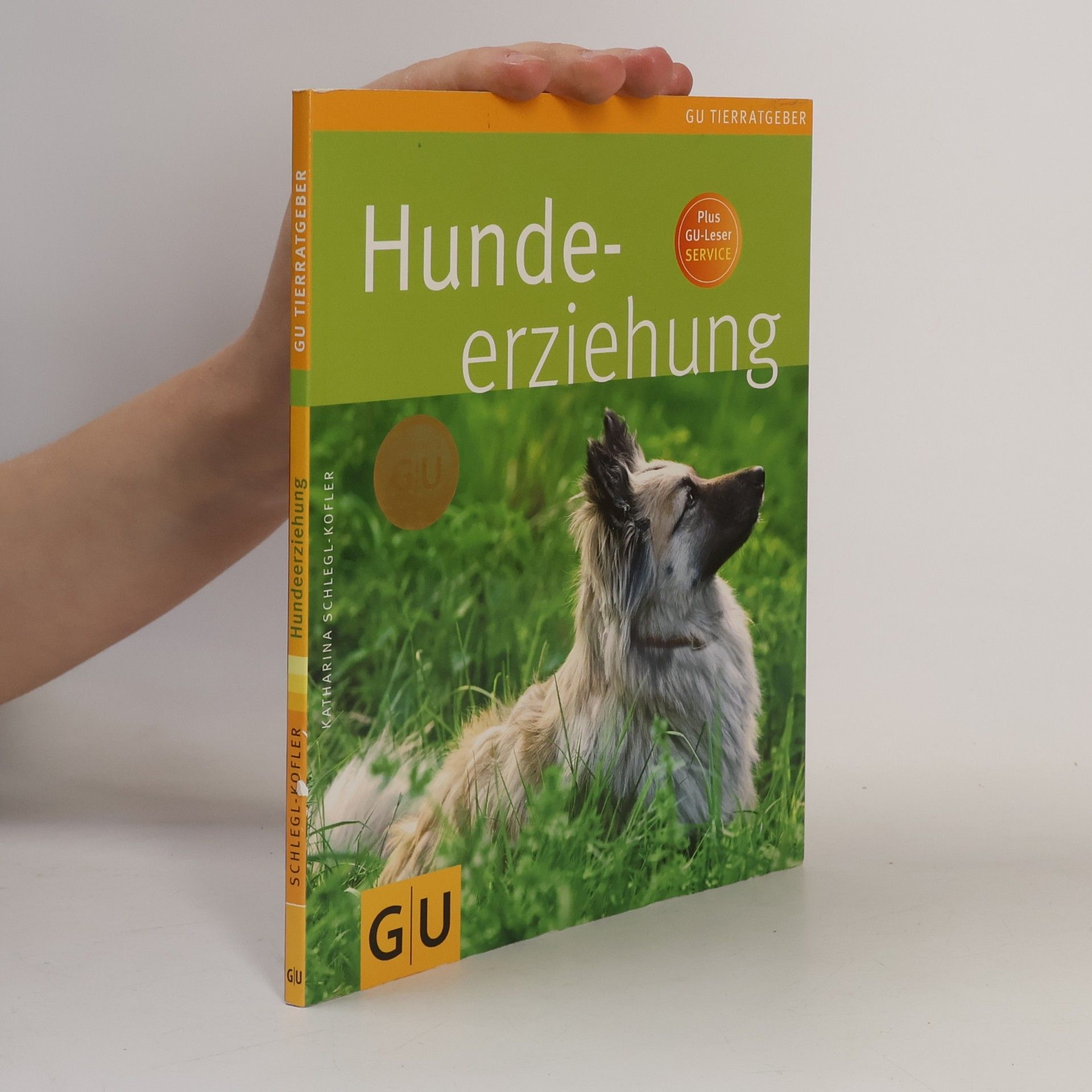 Hundeerziehung