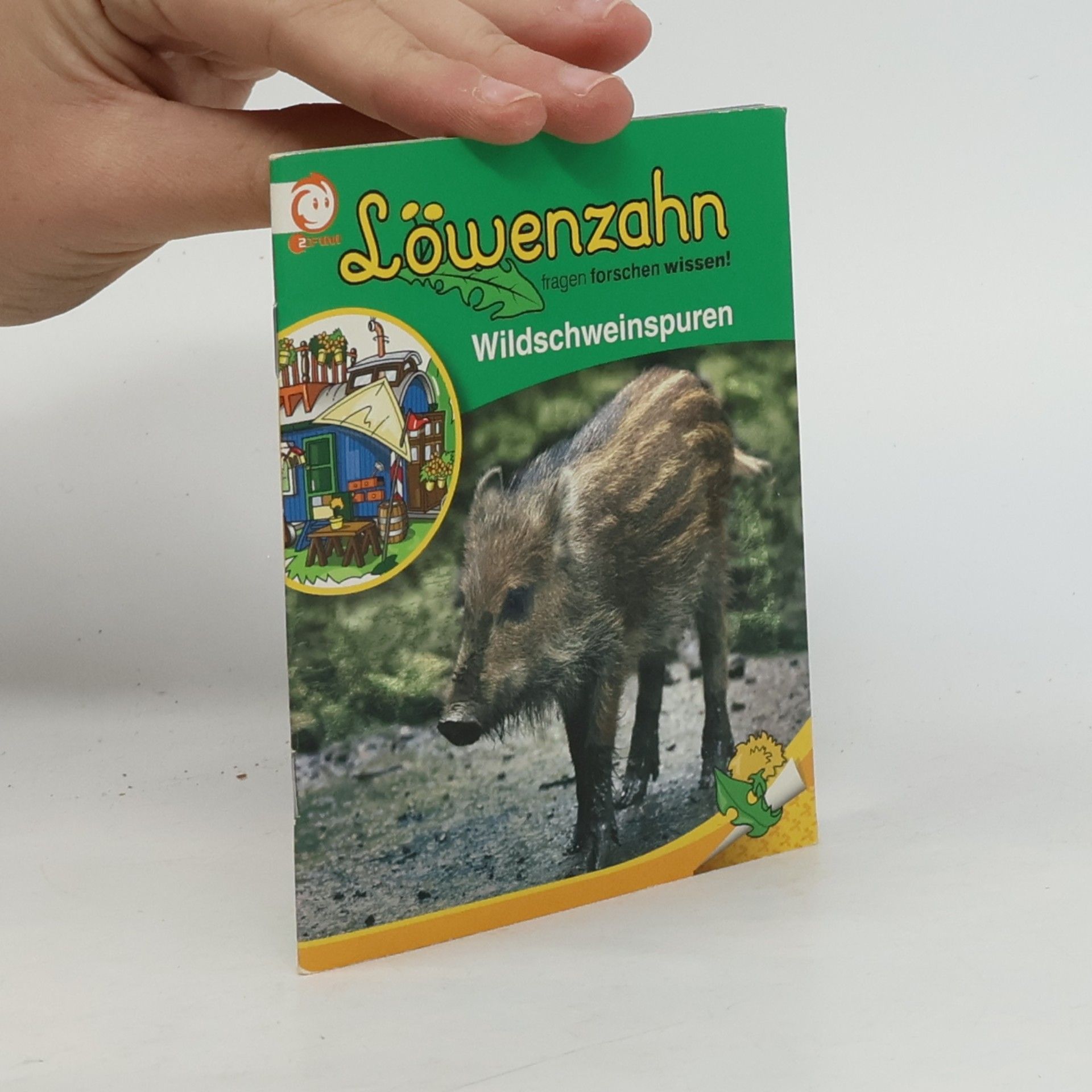 kolektiv Löwenzahn