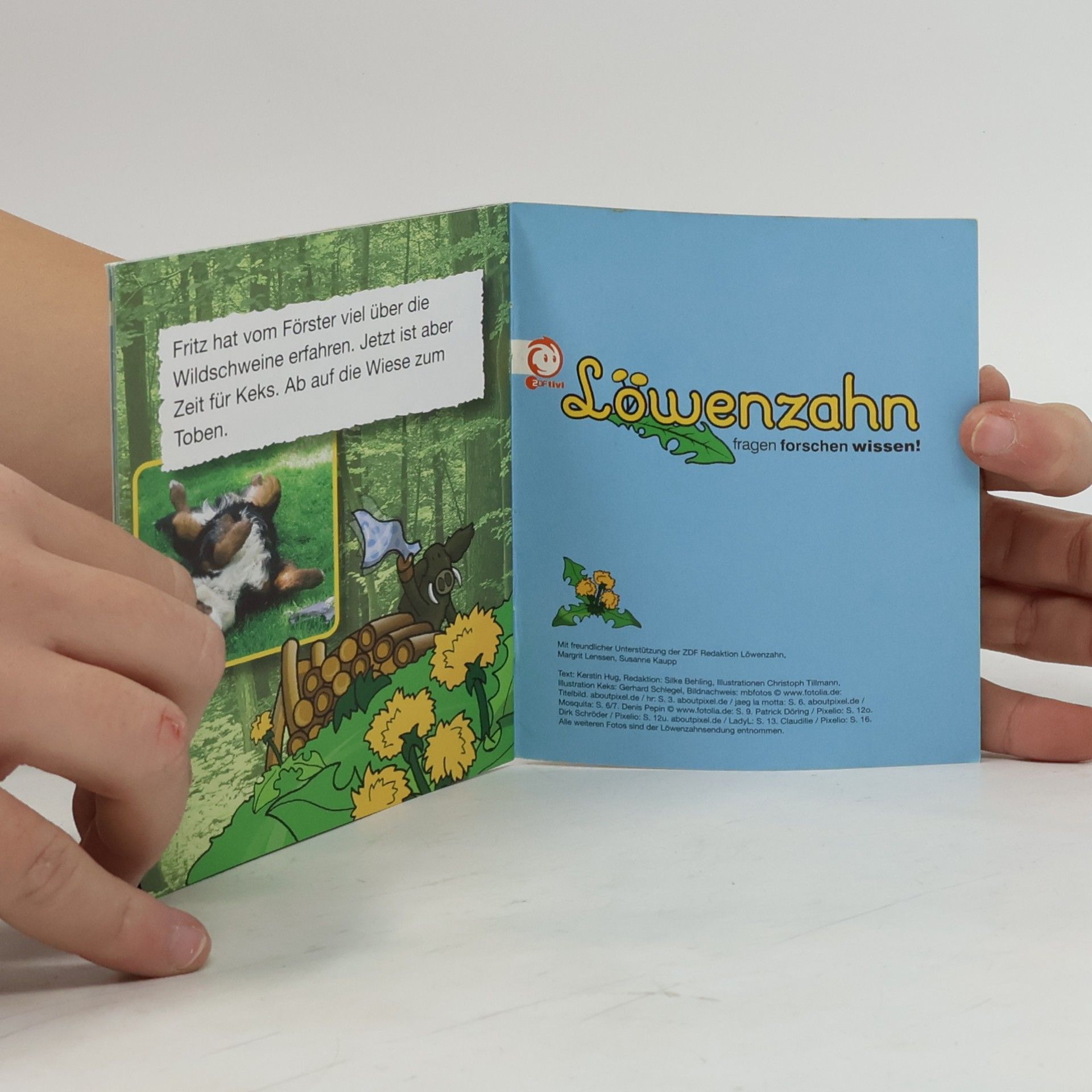 kolektiv Löwenzahn