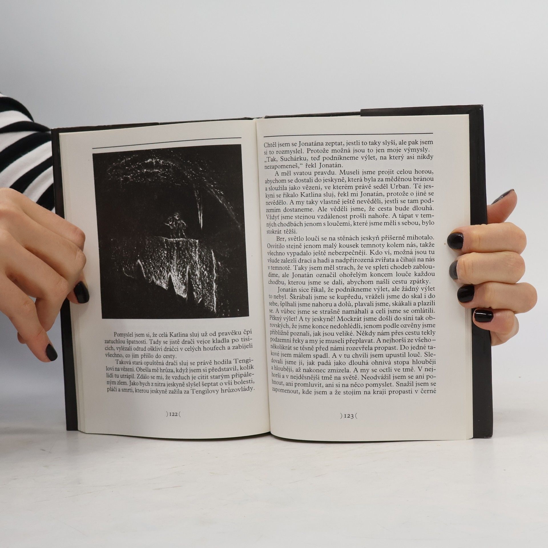 Astrid Lindgren Bratři Lví srdce