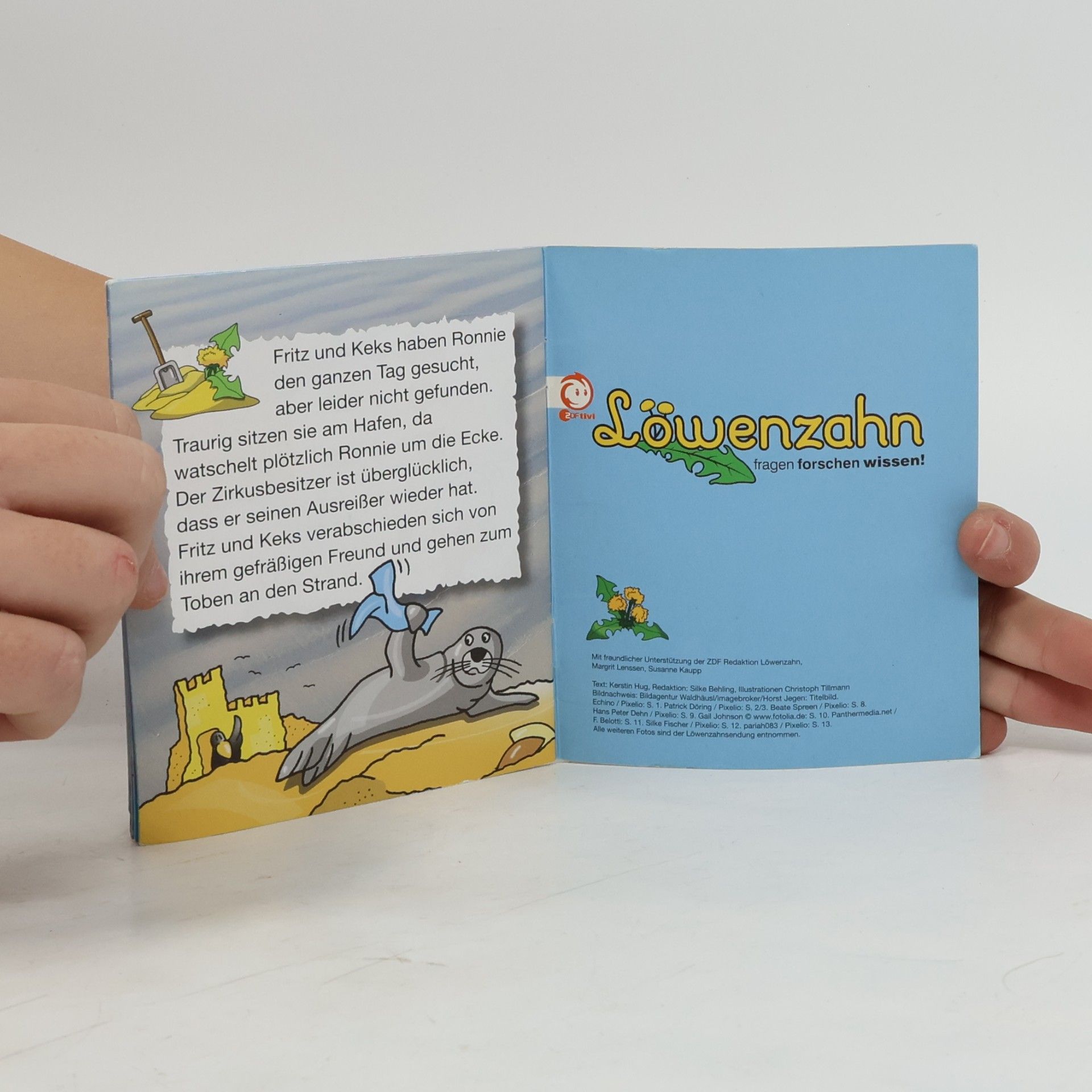 kolektiv Löwenzahn – Robbensuche