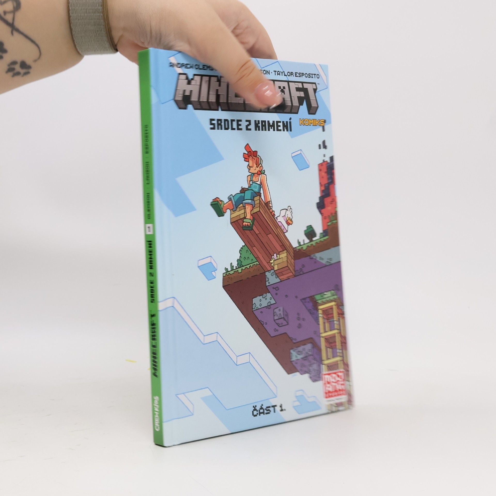 Minecraft. Srdce z kamení 1