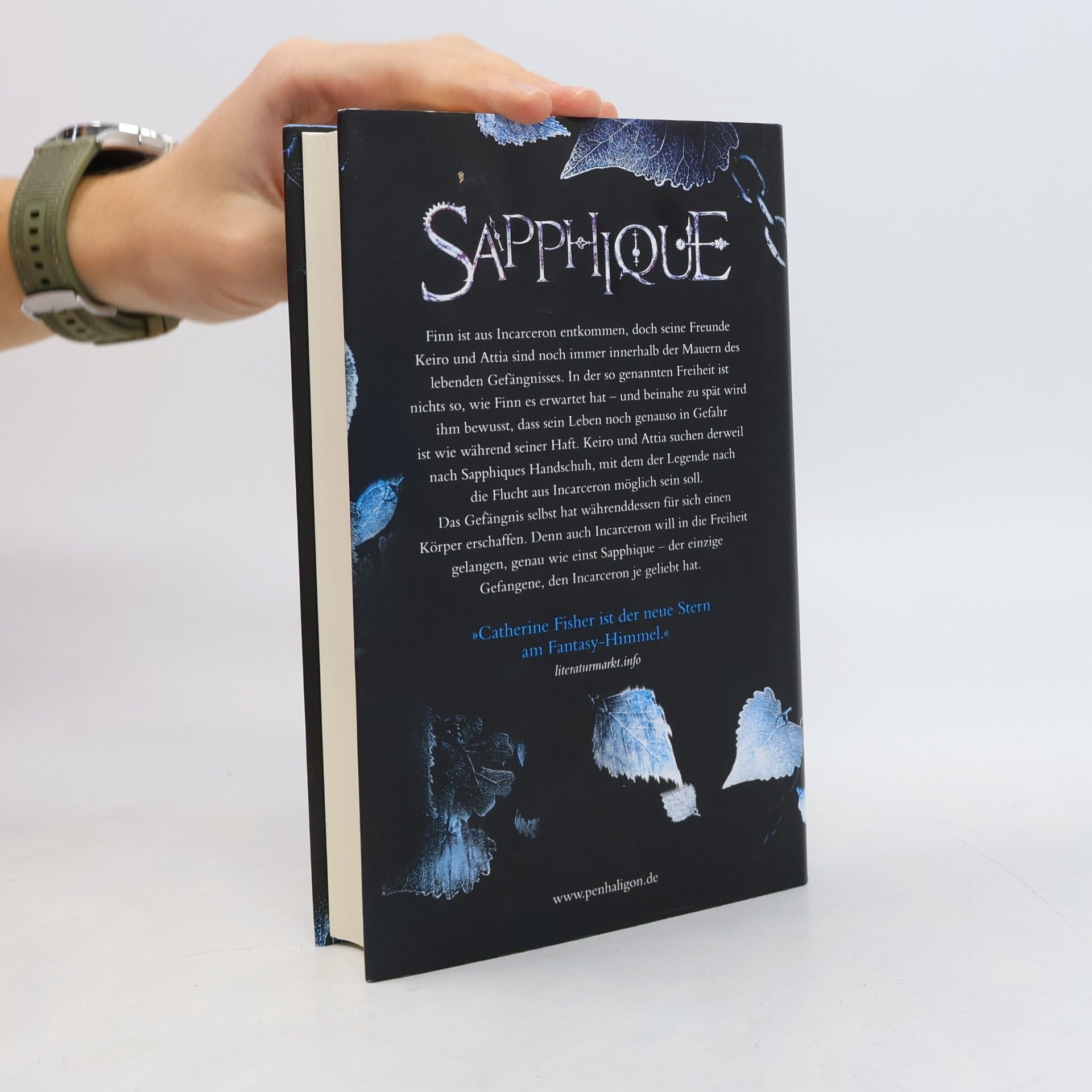 Catherine Fisher Sapphique