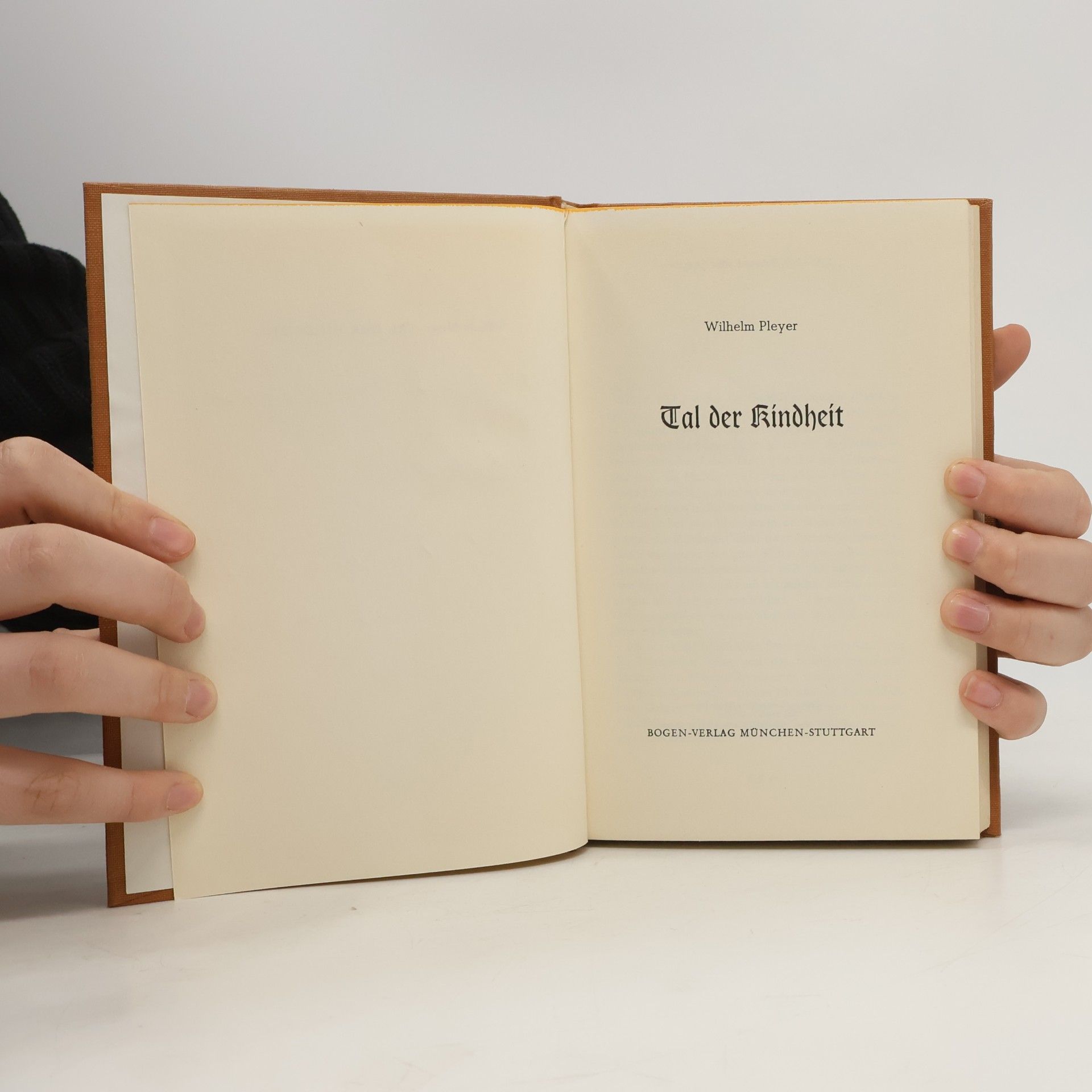 Wilhelm Pleyer Tal der Kindheit