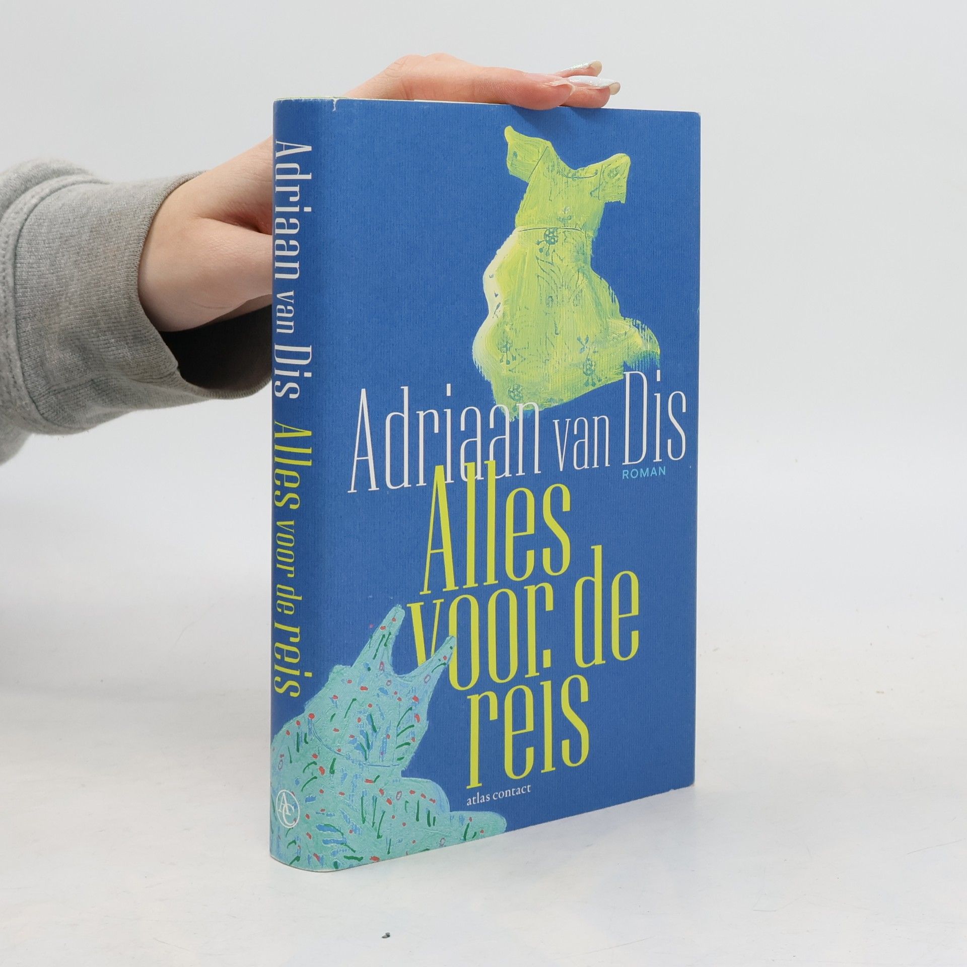 Alles voor de reis: een roman over liefde en leugens
