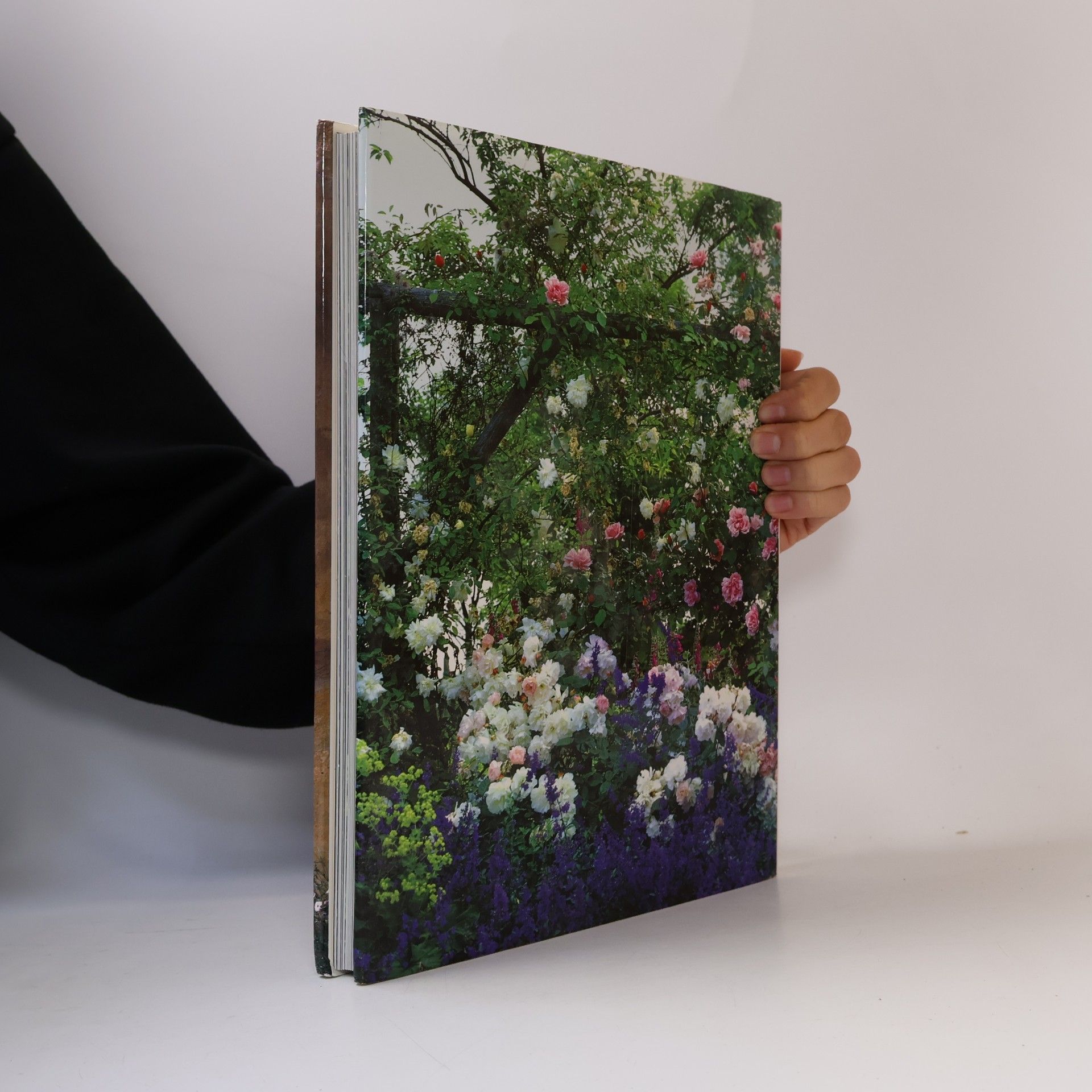 Christopher P. Baker Die Welt der Rose