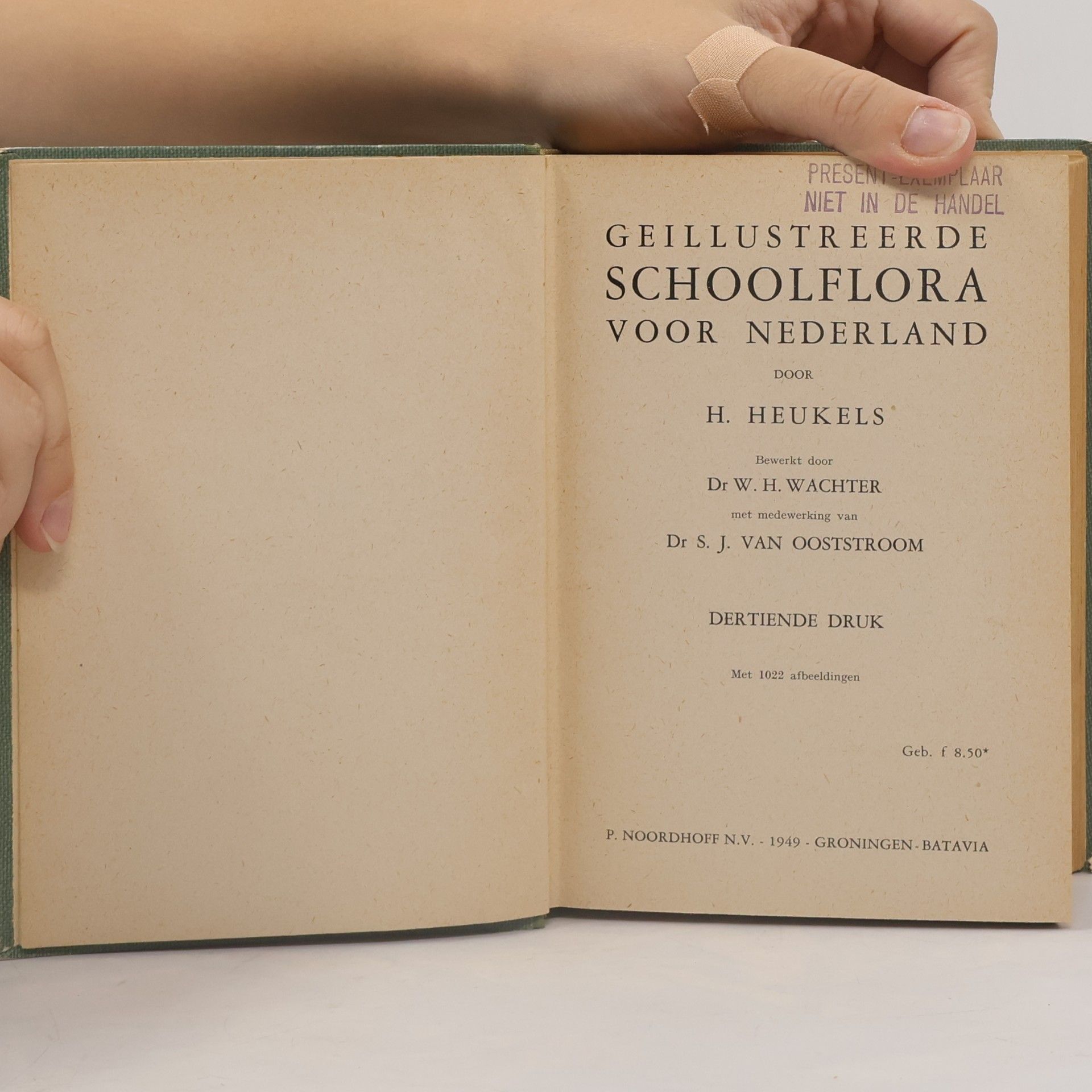 H. Heukels Geillustreerde Schoolflora voor Nederland