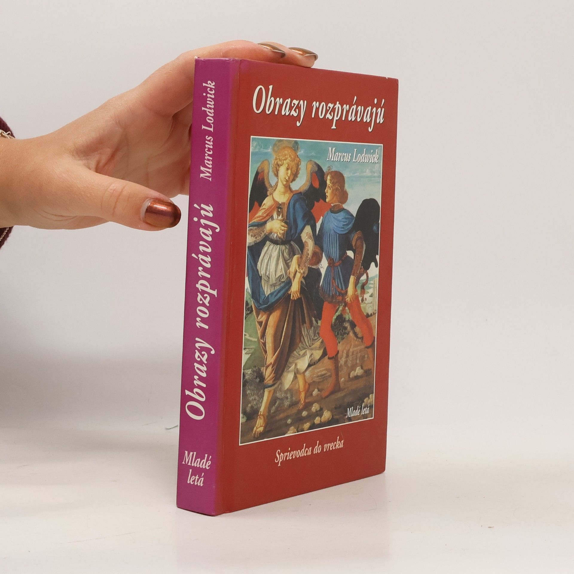 Obrazy rozprávajú : sprievodca do vrecka