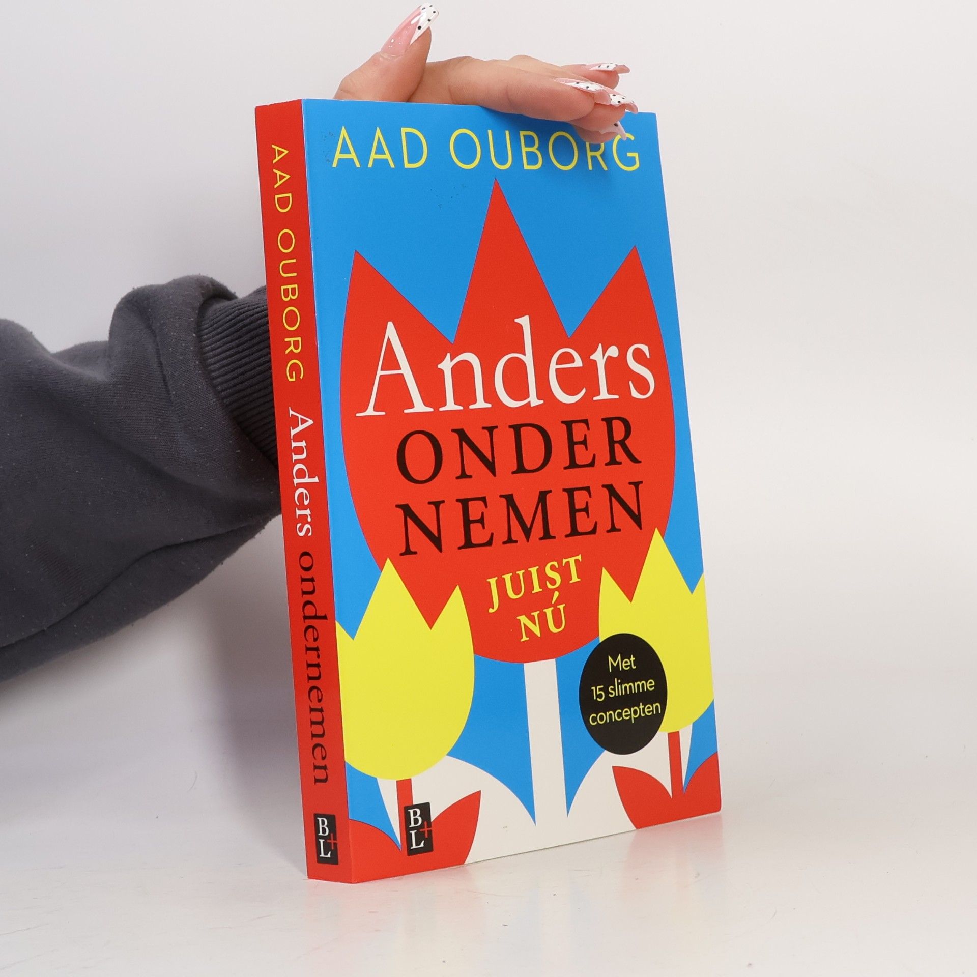 Aad Ouborg Anders ondernemen, juist nu