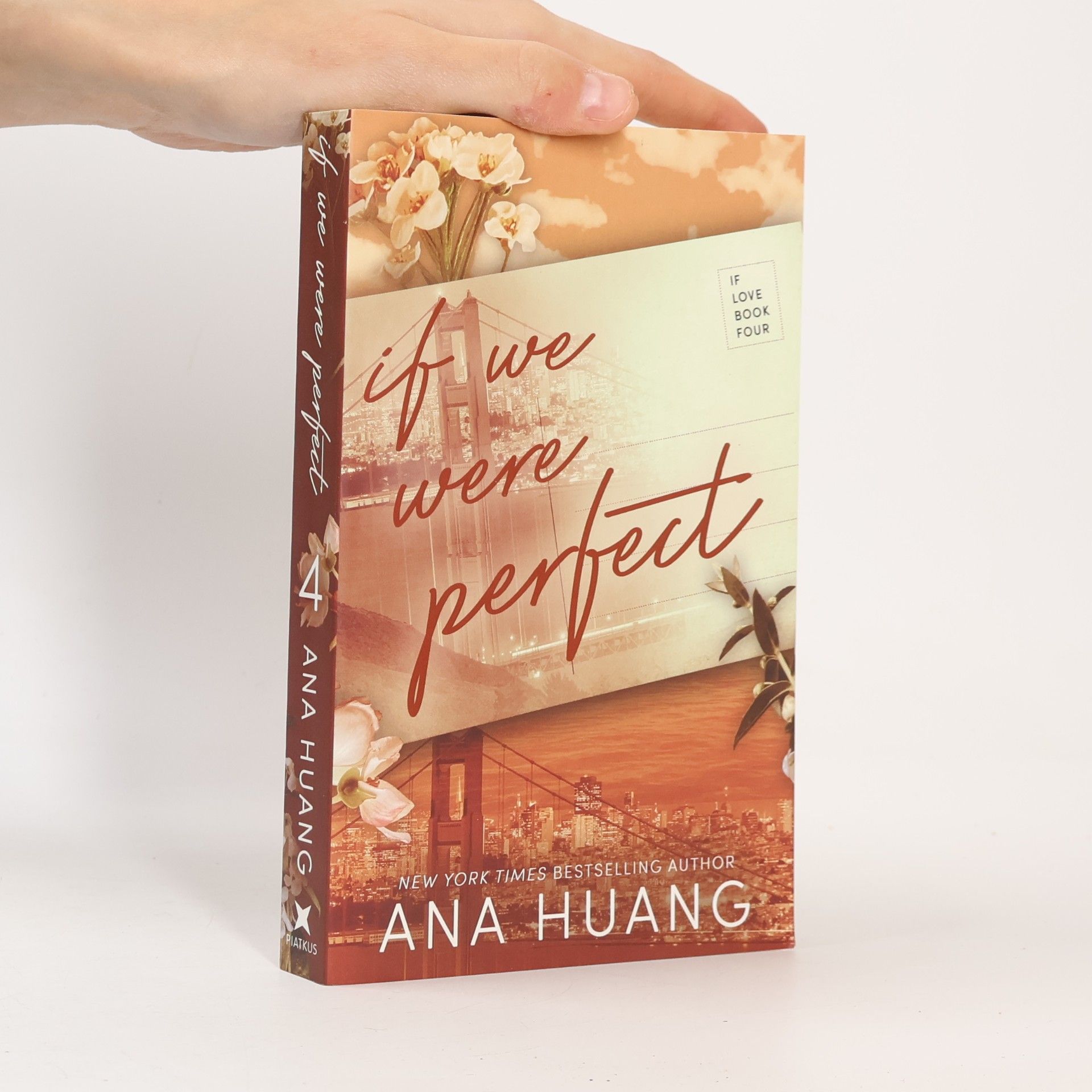 If We Were Perfect