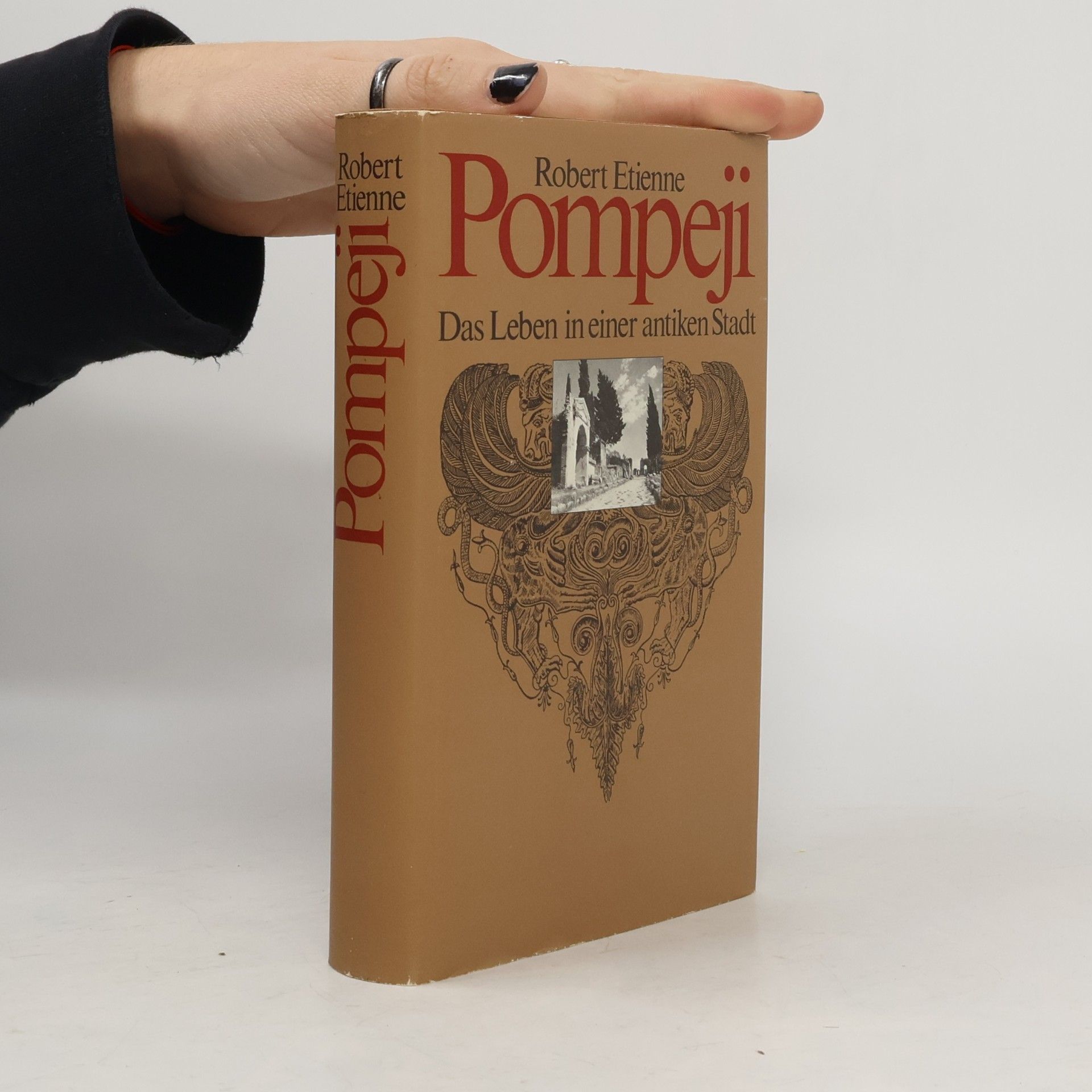 Robert Étienne Pompeji. Das Leben in einer antiken Stadt