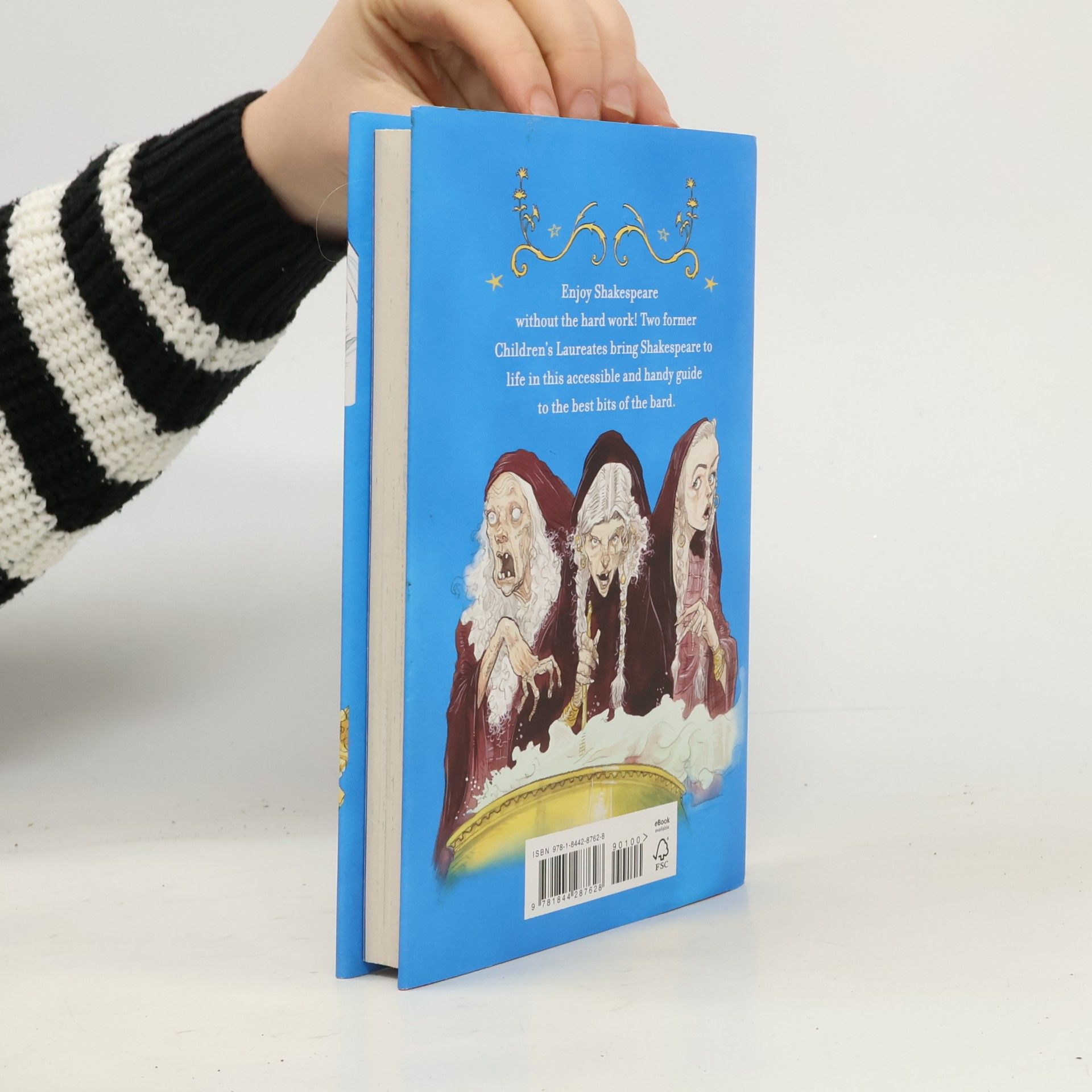 Chris Riddell Michael Rosen's Pocket Shakespeare