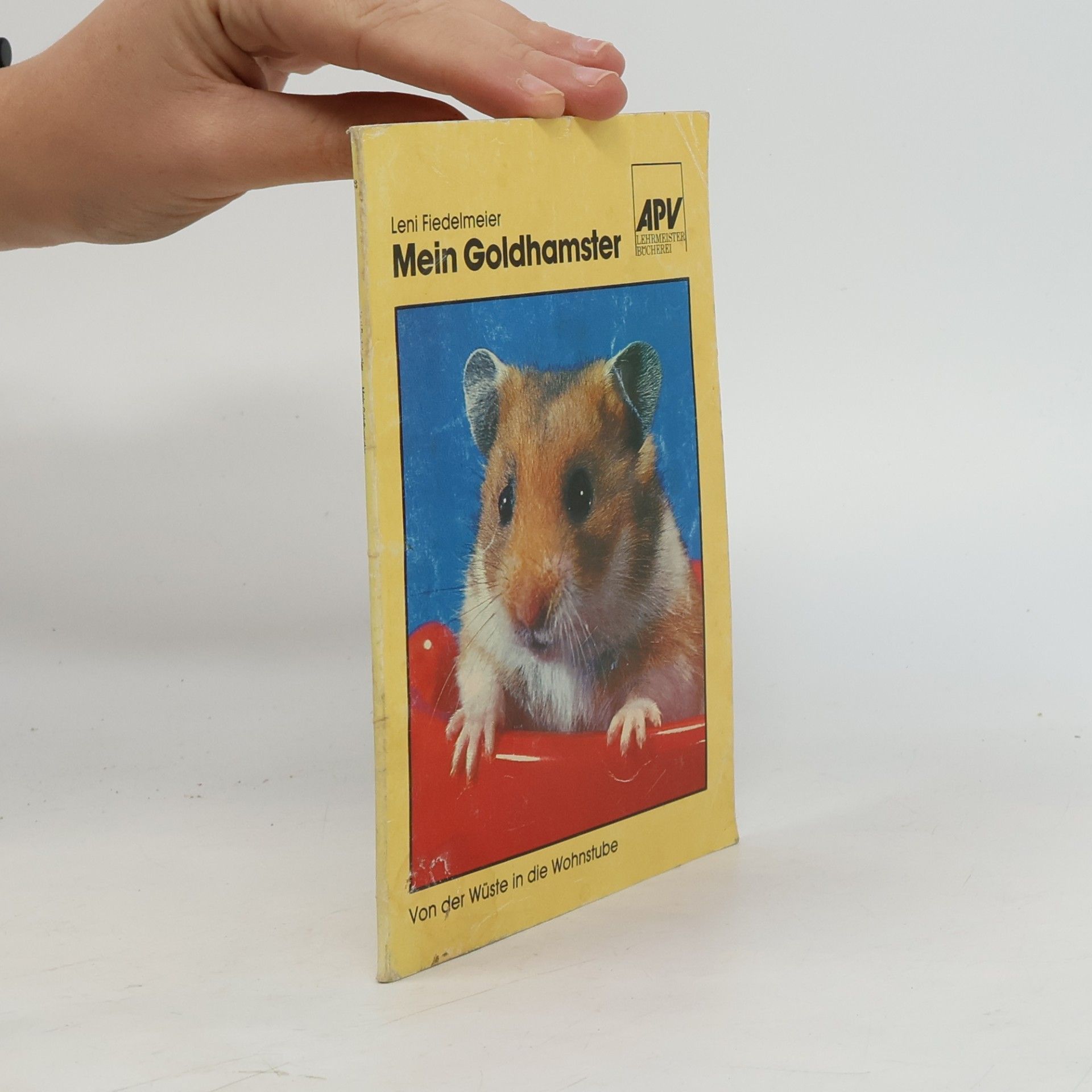 Mein Goldhamster