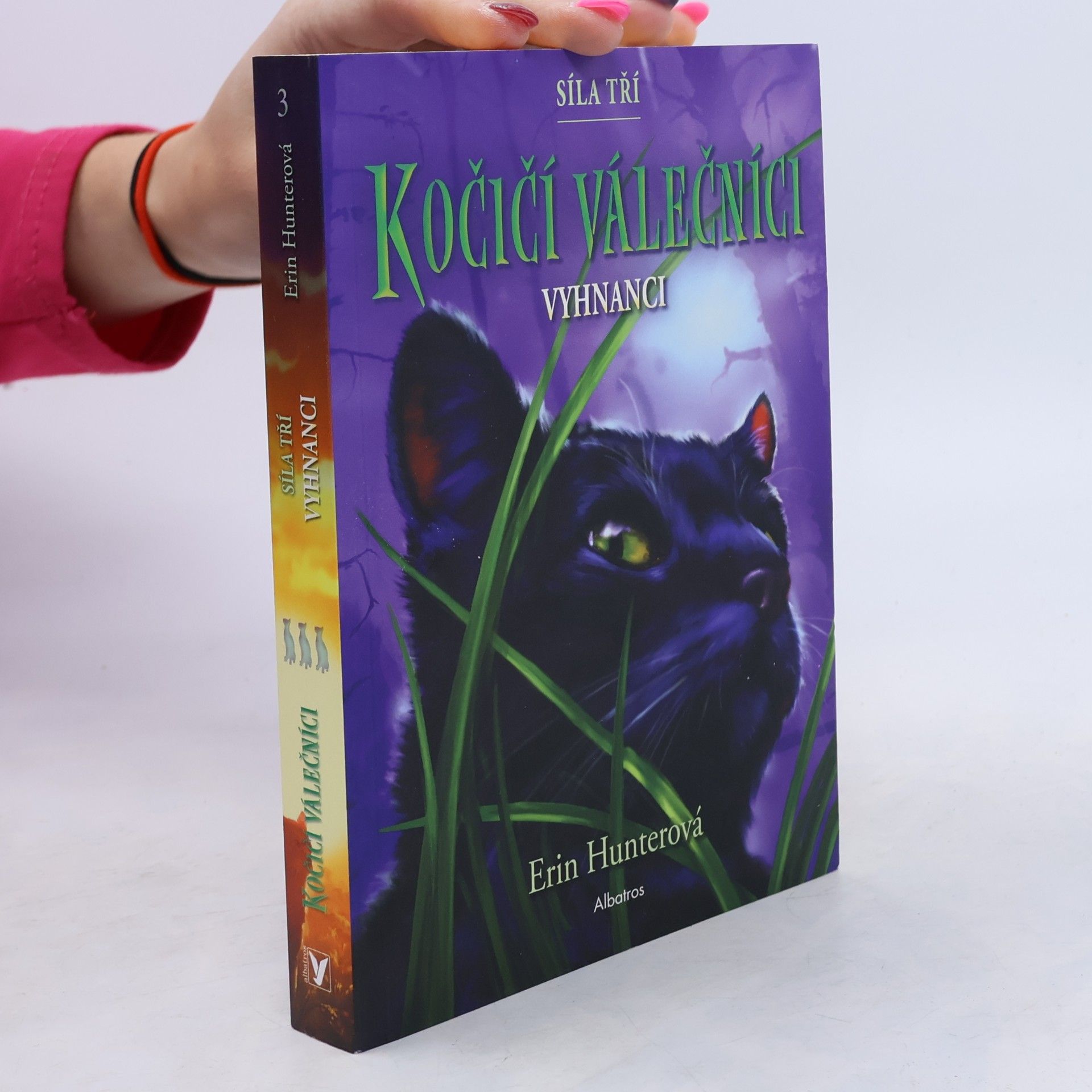 Erin Hunter Kočičí válečníci: Síla tří (3) – Vyhnanci