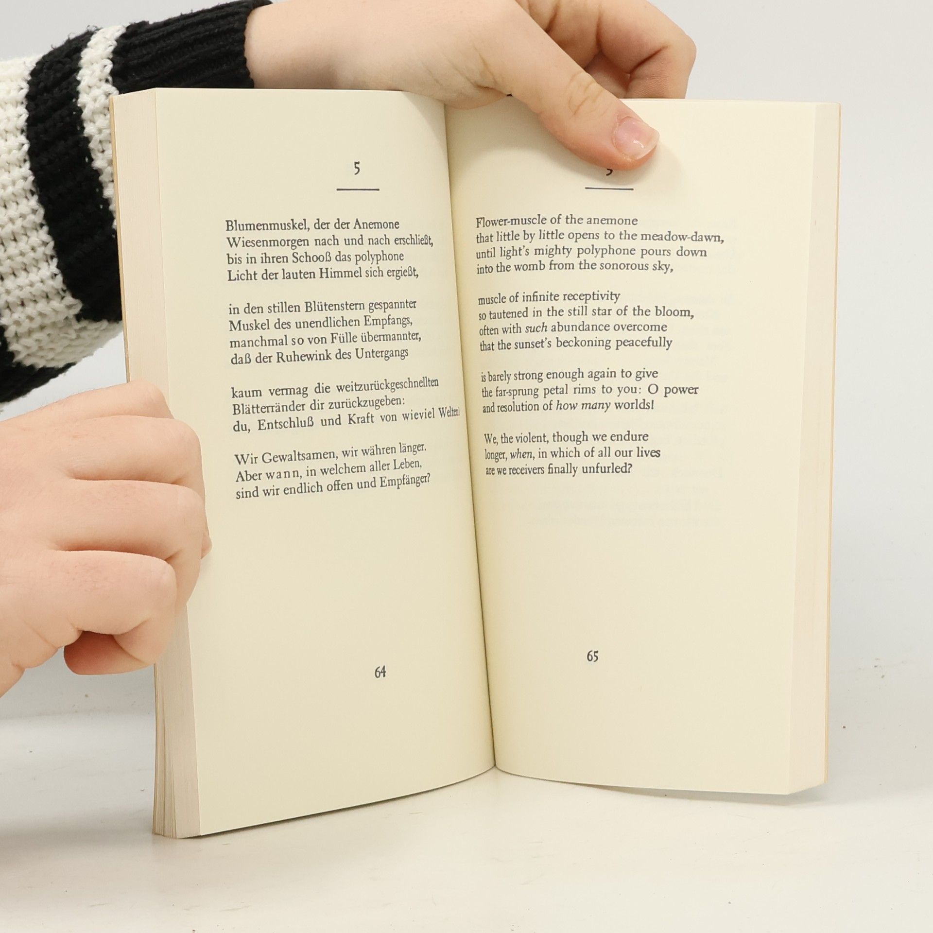 Rainer Maria Rilke Sonnets to Orpheus