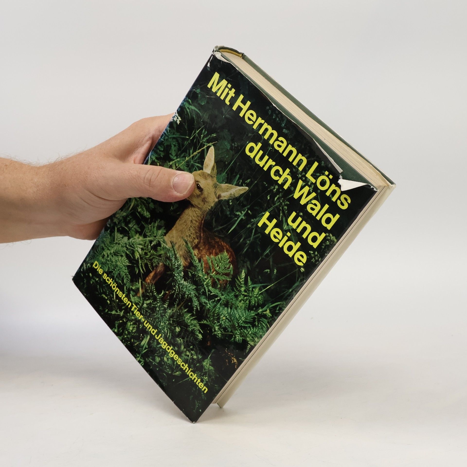 Hermann Löns Mit Hermann Löns durch Wald und Heide