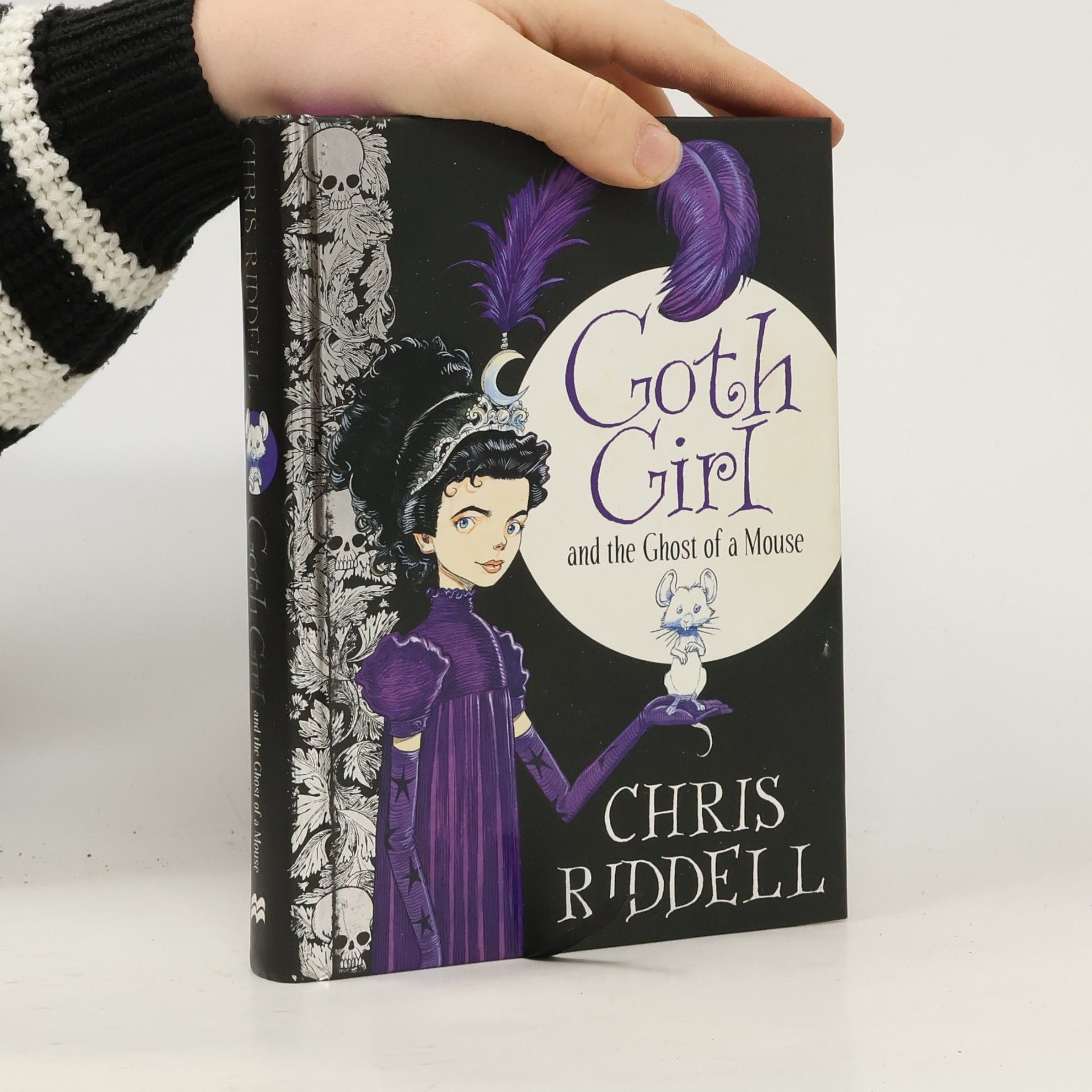 Chris Riddell Goth Girl and the Ghost of a Mouse